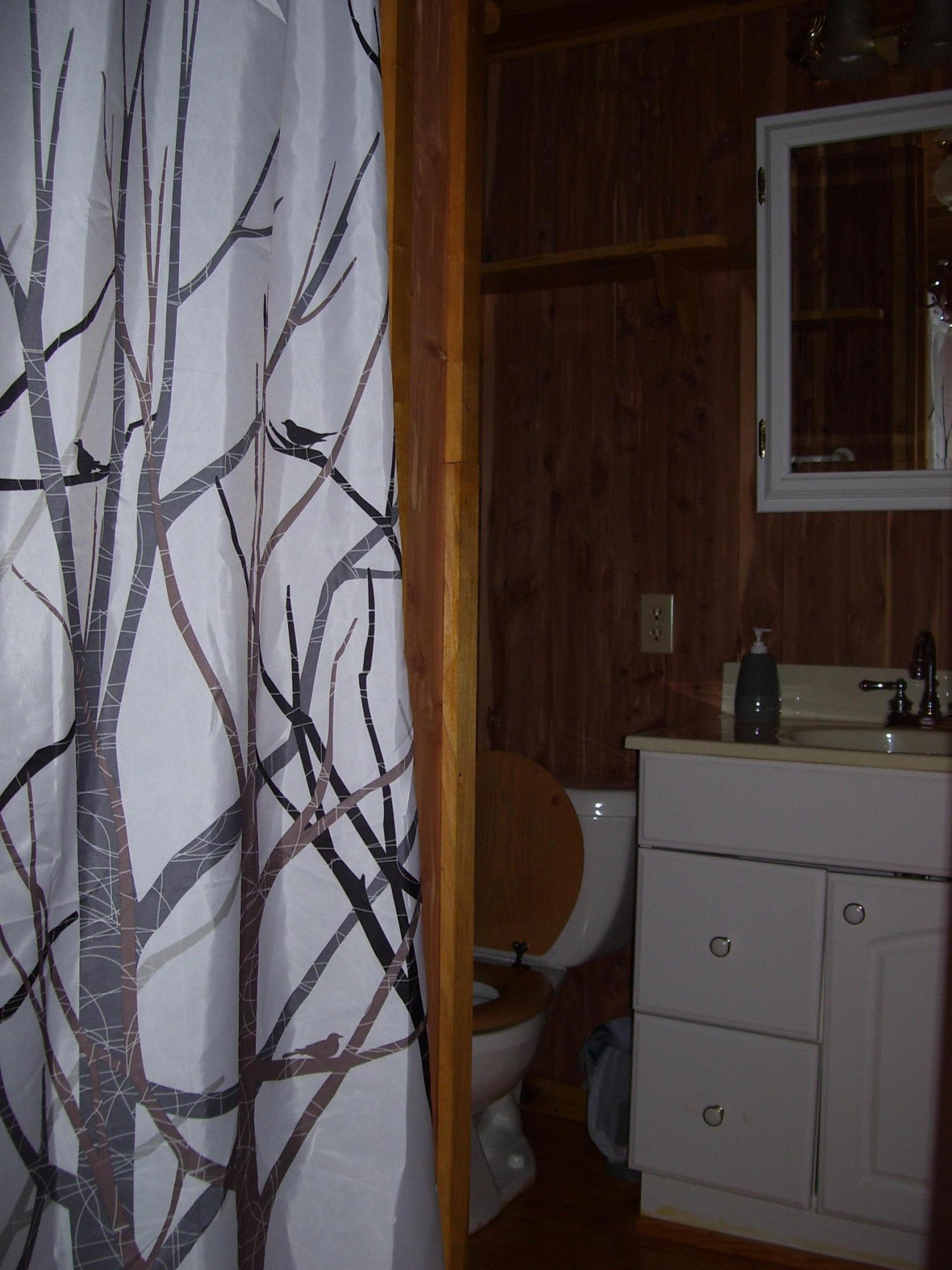 833 Stiner Road Sharps Chapel, TN 37866 - Photo 24 of 38 Lower level bath
