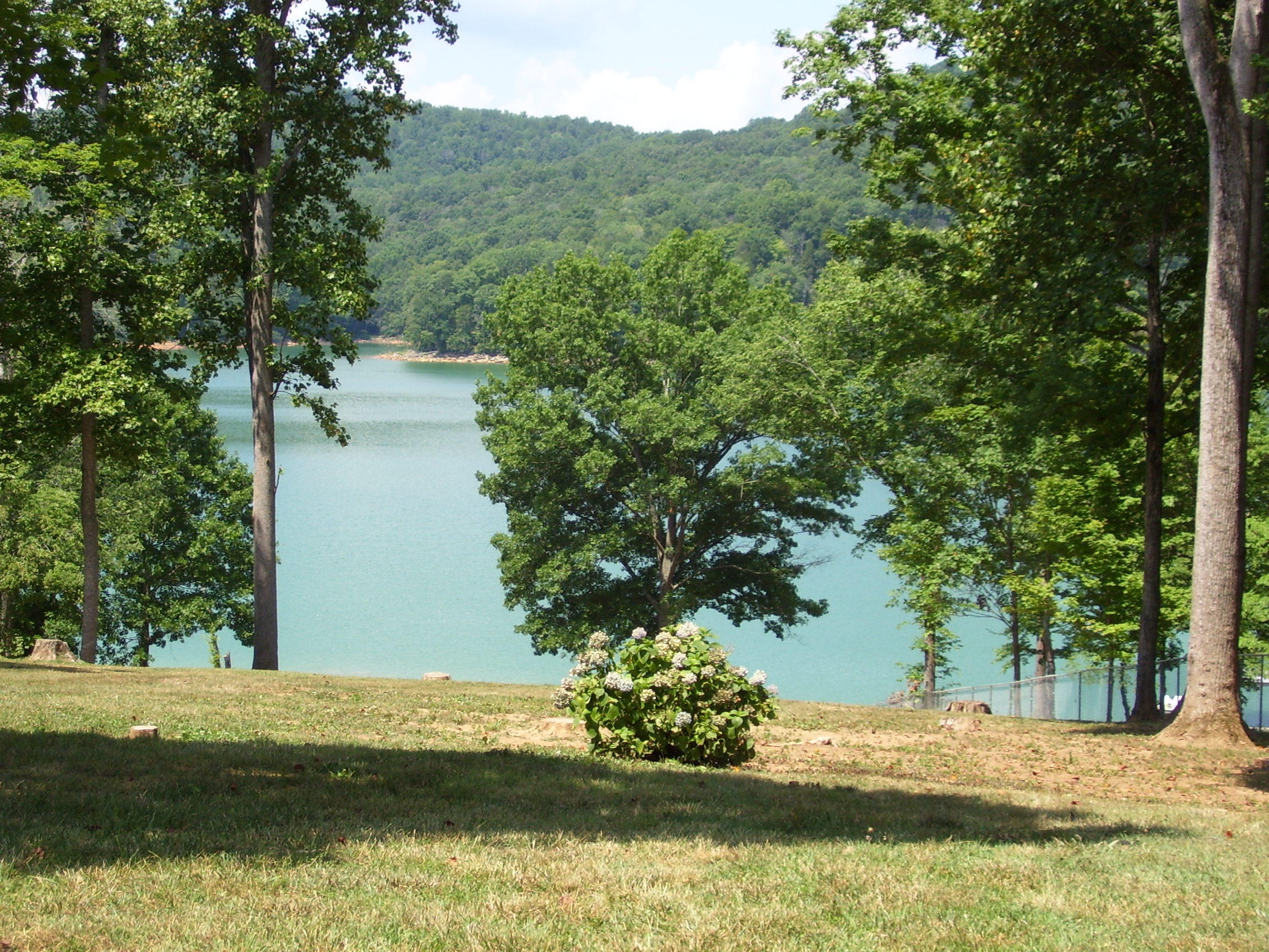 833 Stiner Road Sharps Chapel, TN 37866 - Photo 4 of 38 From home to lake