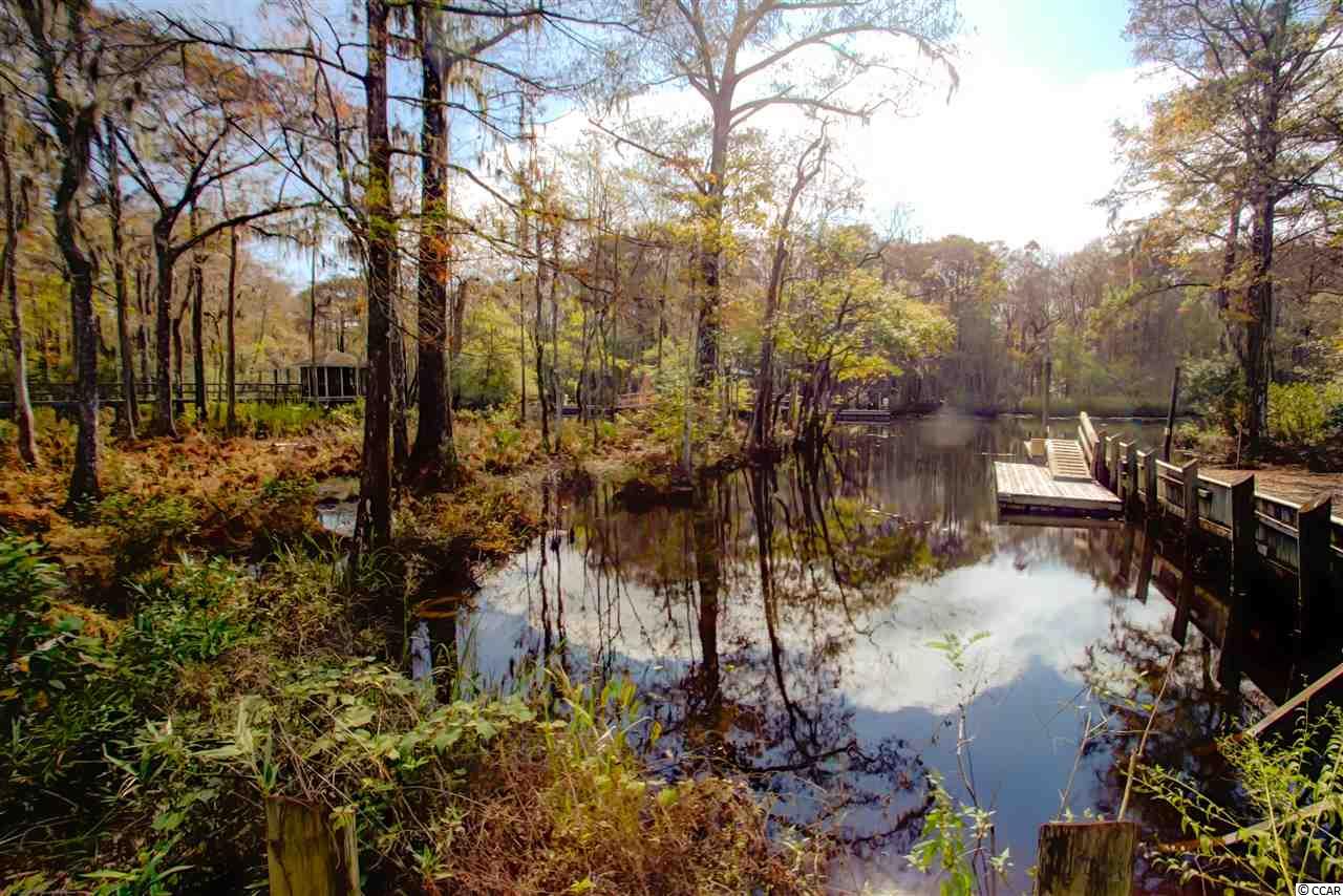 3361 Shadow Moss Lane Murrells Inlet, SC 29576 - Photo 22 of 23 Gallery Image 22