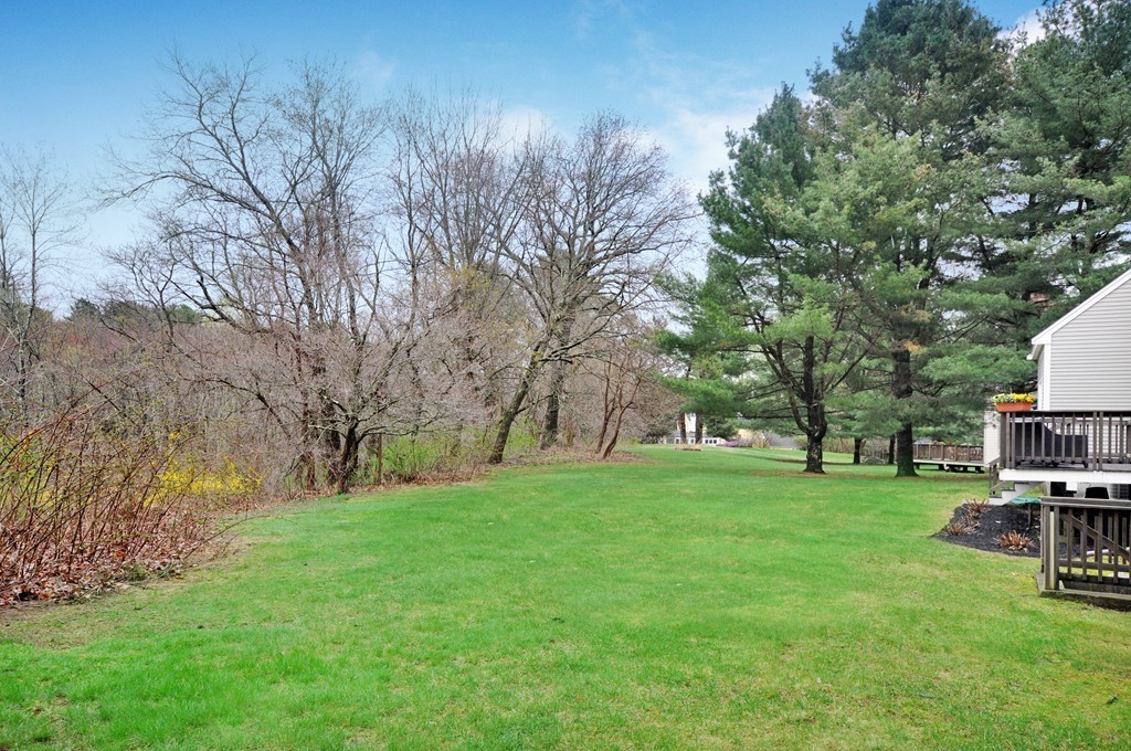23 Wright Farm, Unit 23 Concord, MA 01742 - Photo 29 of 30 a view of a park with large trees