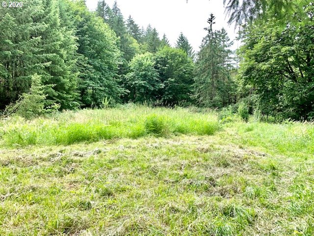 87740 Cedar Flat Road Springfield, OR 97478 - Photo 11 of 22