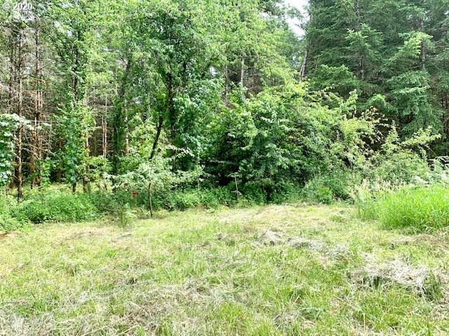 87740 Cedar Flat Road Springfield, OR 97478 - Photo 12 of 22
