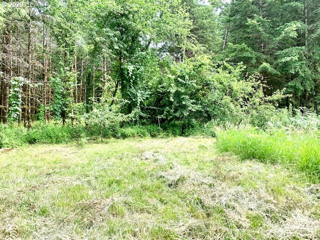 87740 Cedar Flat Road Springfield, OR 97478 - Photo 15 of 22