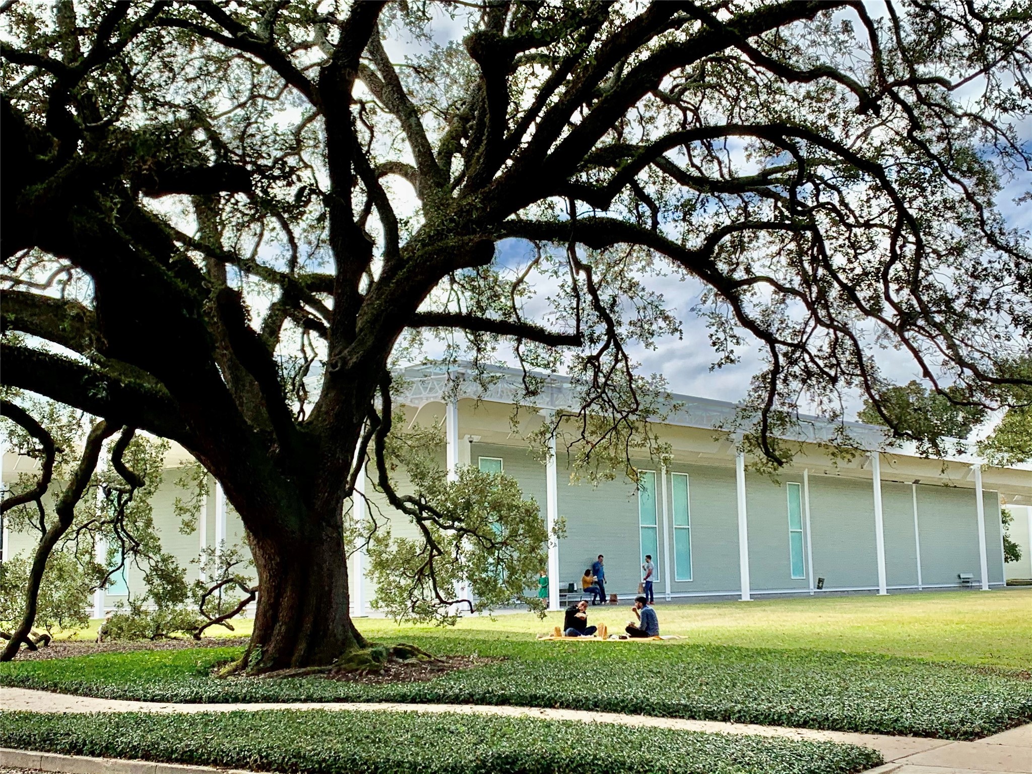 2608 Hopkins Street Houston, TX 77006 - Photo 37 of 42 a front view of a house with a yard