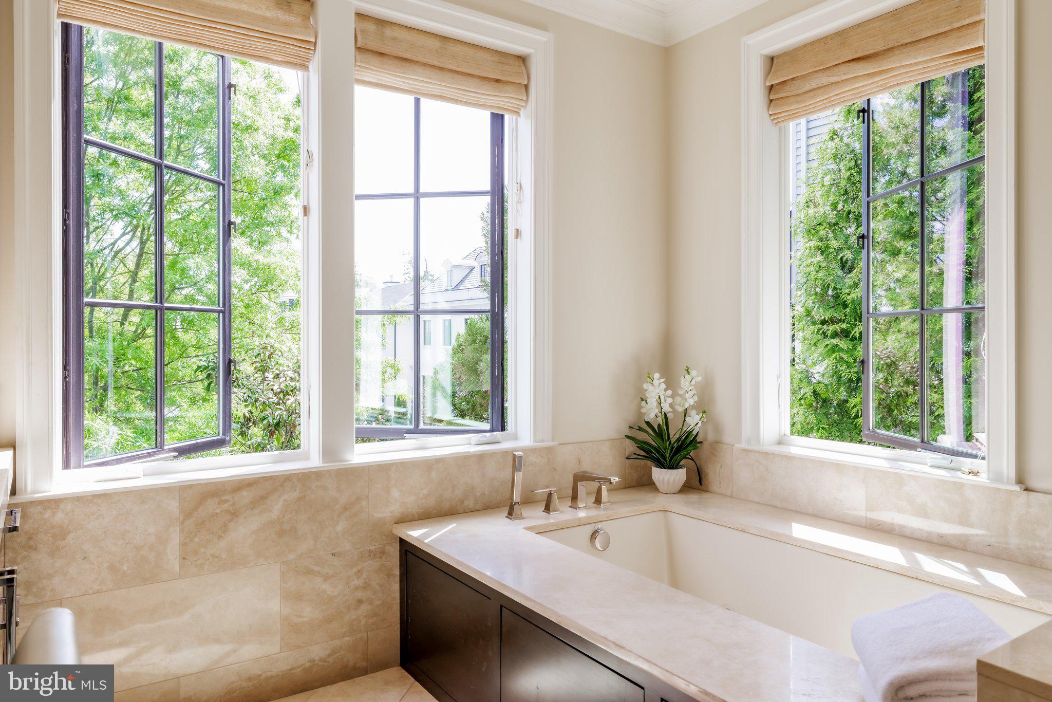 4414 W Street Northwest Washington, DC 20007 - Photo 31 of 50 Primary tub