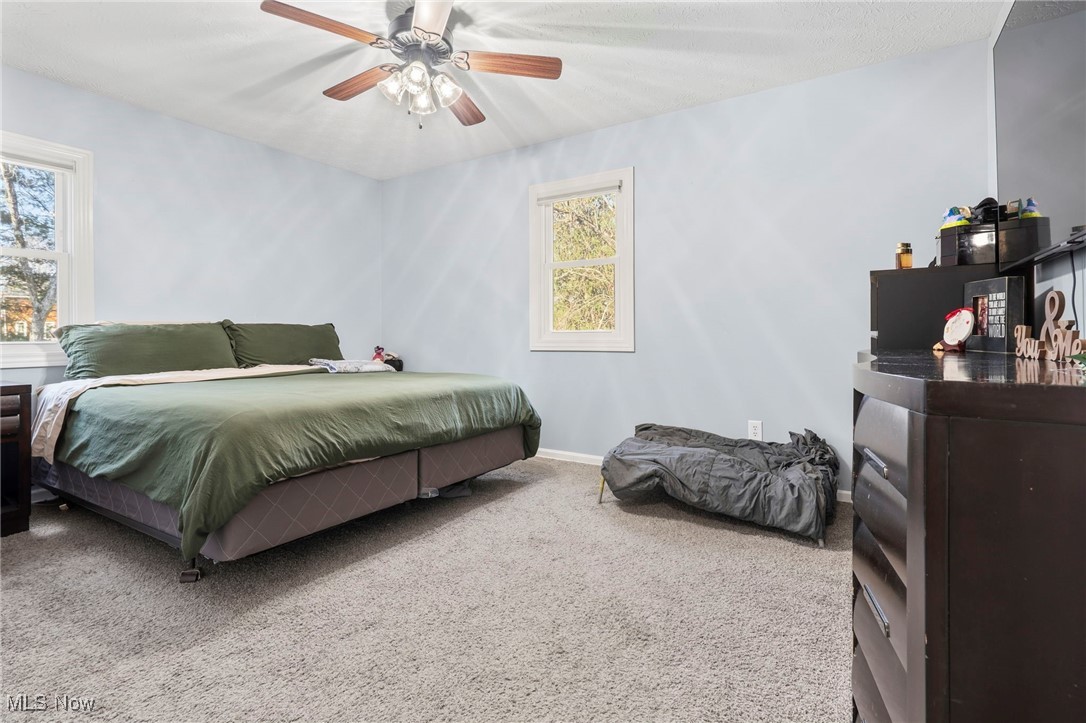 7153 Hudson Road Kent, OH 44240 - Photo 27 of 46 Bedroom with carpet floors and a ceiling fan