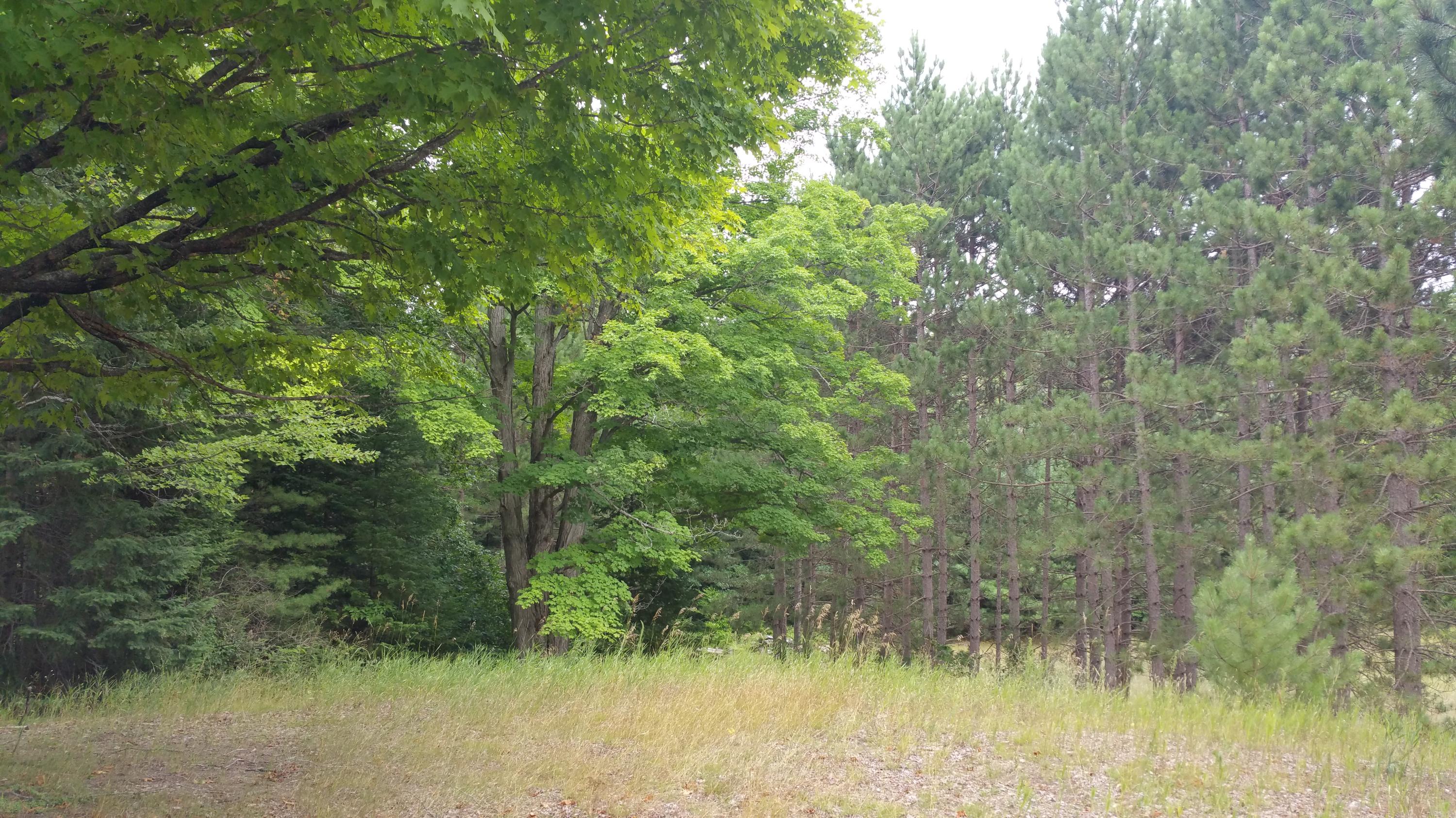 1225 East Miller Road Fairview, MI 48621 - Photo 15 of 46 Gallery Image 15