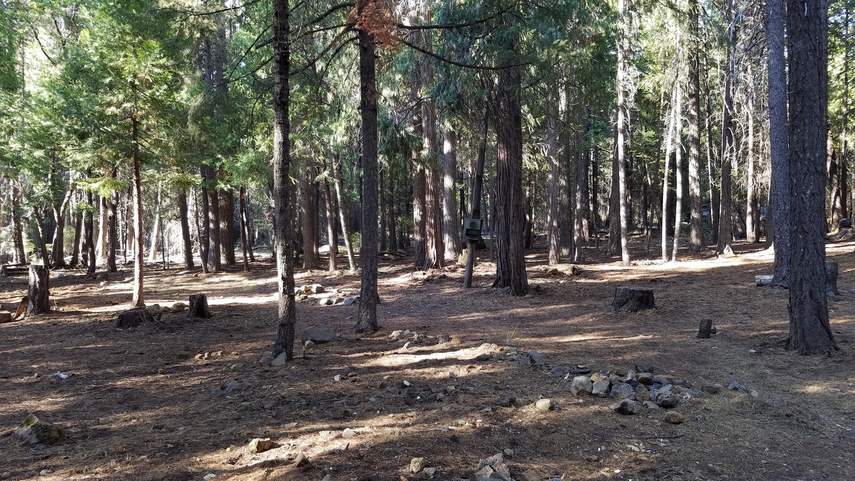 34560 Timber Ridge Road Shingletown, CA 96088 - Photo 8 of 22 Prop V8