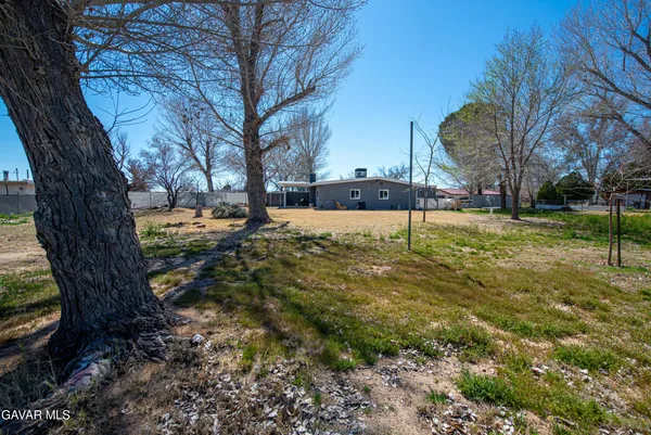 a view of a yard with a tree