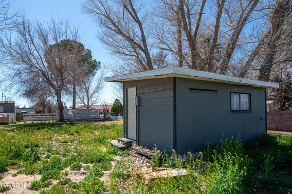 a view of a backyard with plants and large tree