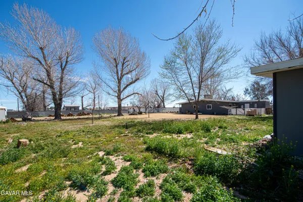 a view of backyard with large trees and plants