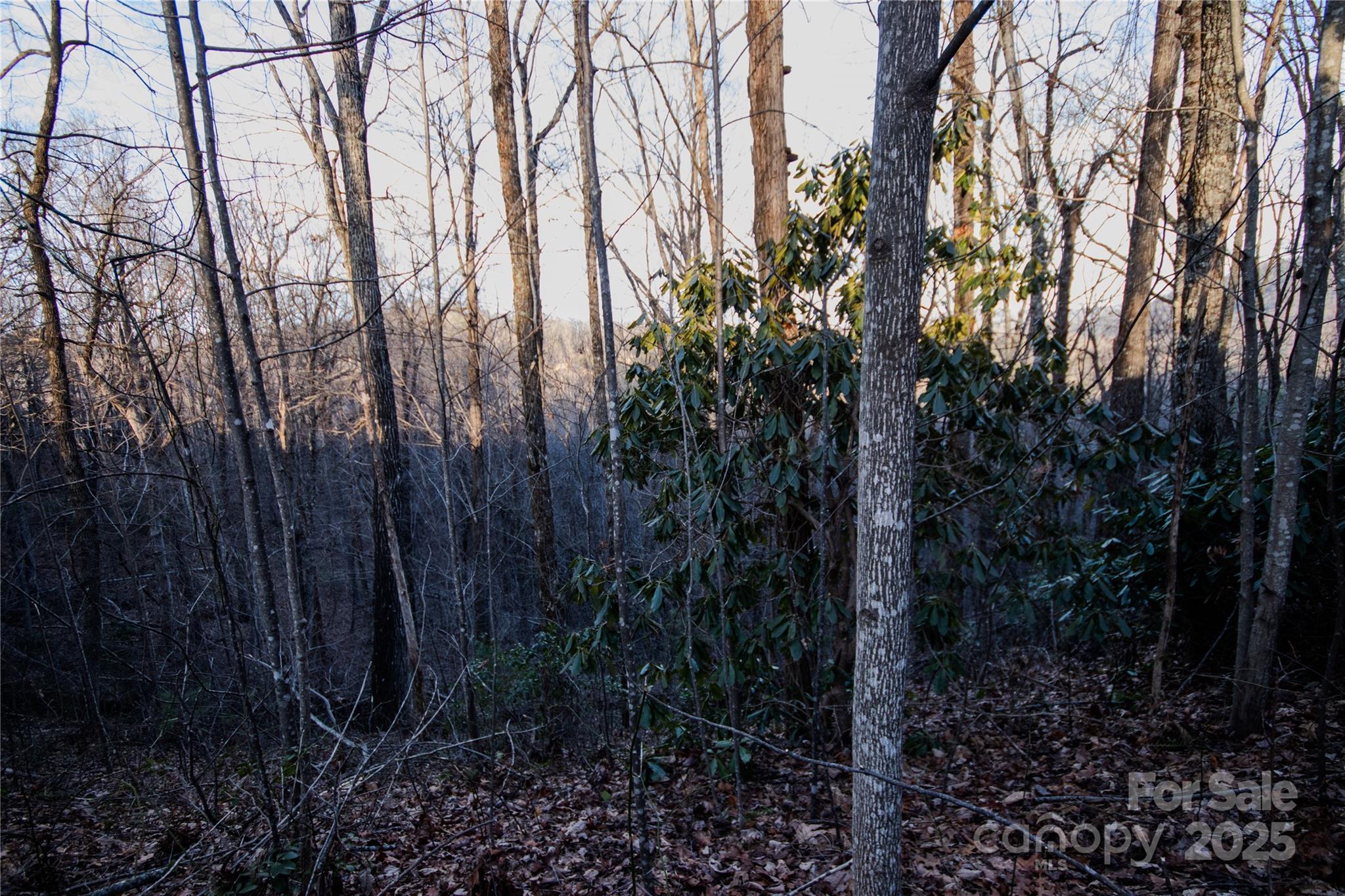 Lot#22 Autumn Ridge, Unit 22 Lenoir, NC 28645 - Photo 12 of 37