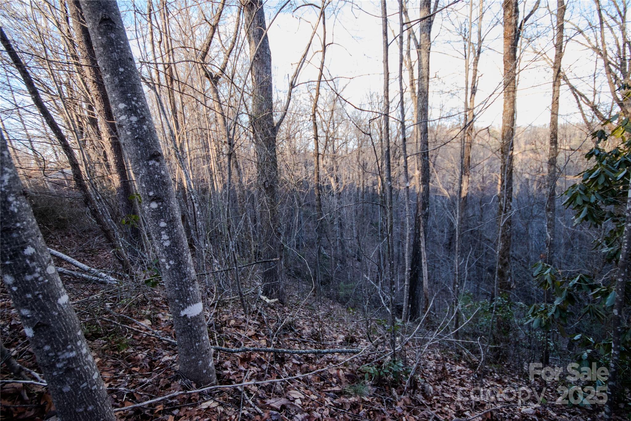 Lot#22 Autumn Ridge, Unit 22 Lenoir, NC 28645 - Photo 13 of 37