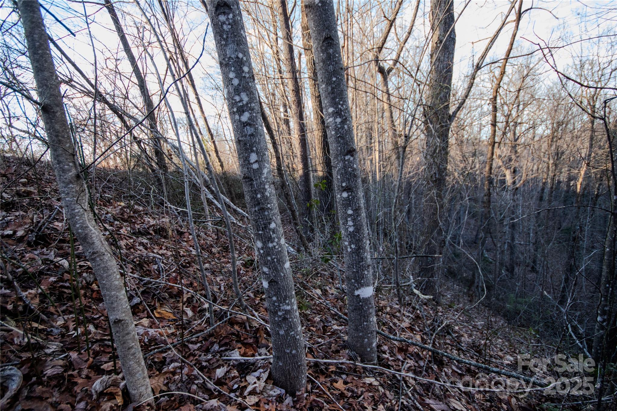 Lot#22 Autumn Ridge, Unit 22 Lenoir, NC 28645 - Photo 14 of 37