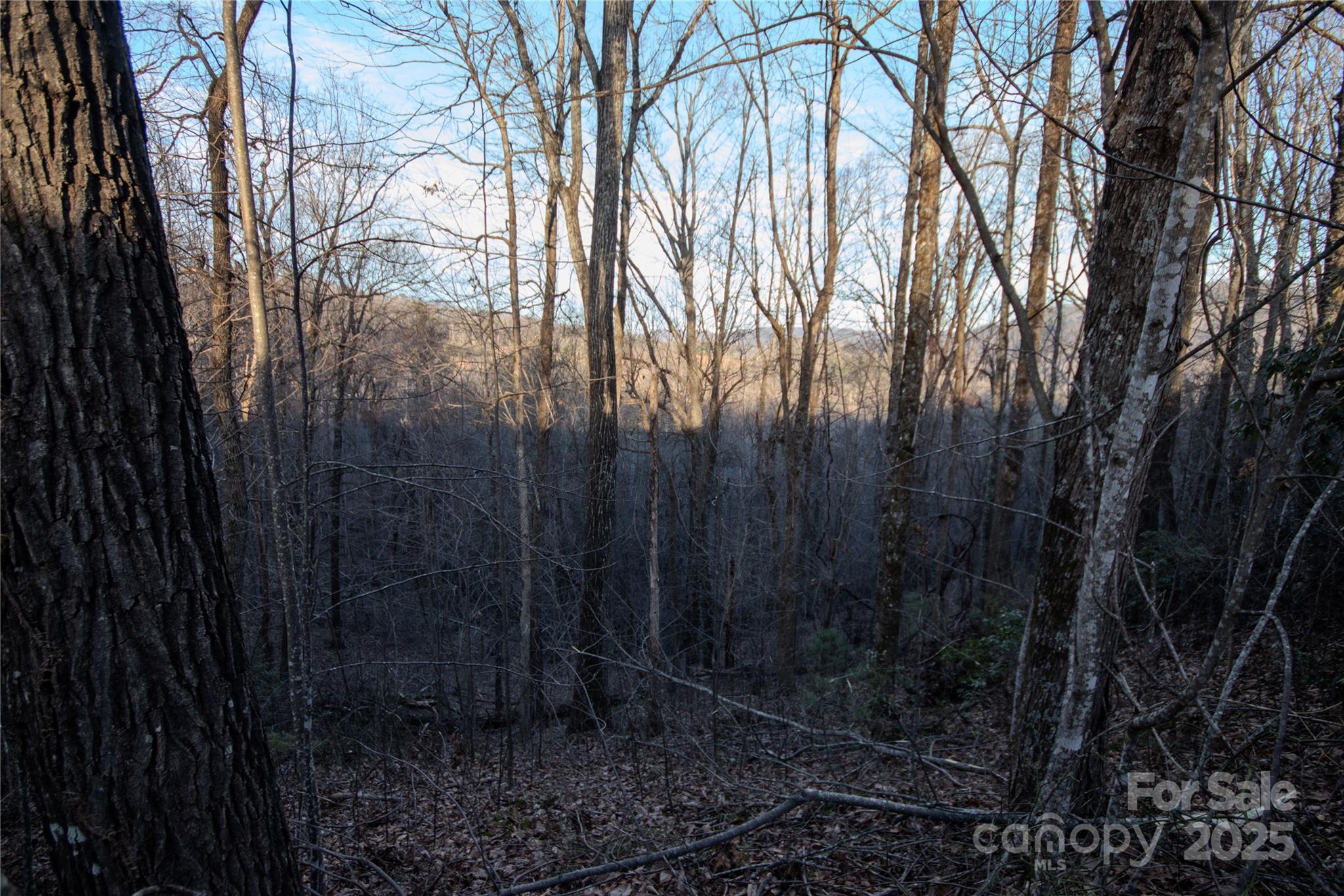 Lot#22 Autumn Ridge, Unit 22 Lenoir, NC 28645 - Photo 15 of 37