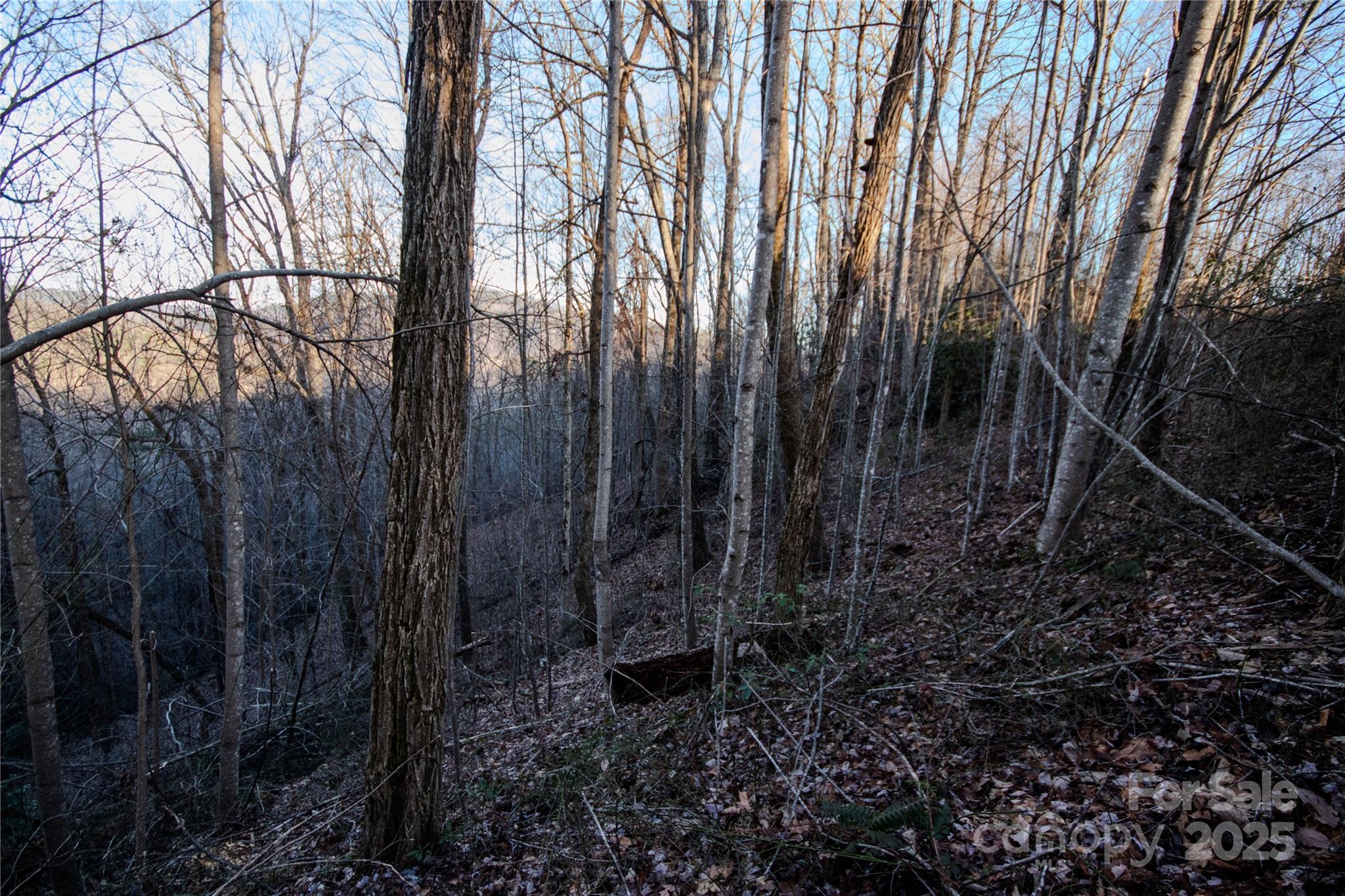 Lot#22 Autumn Ridge, Unit 22 Lenoir, NC 28645 - Photo 16 of 37