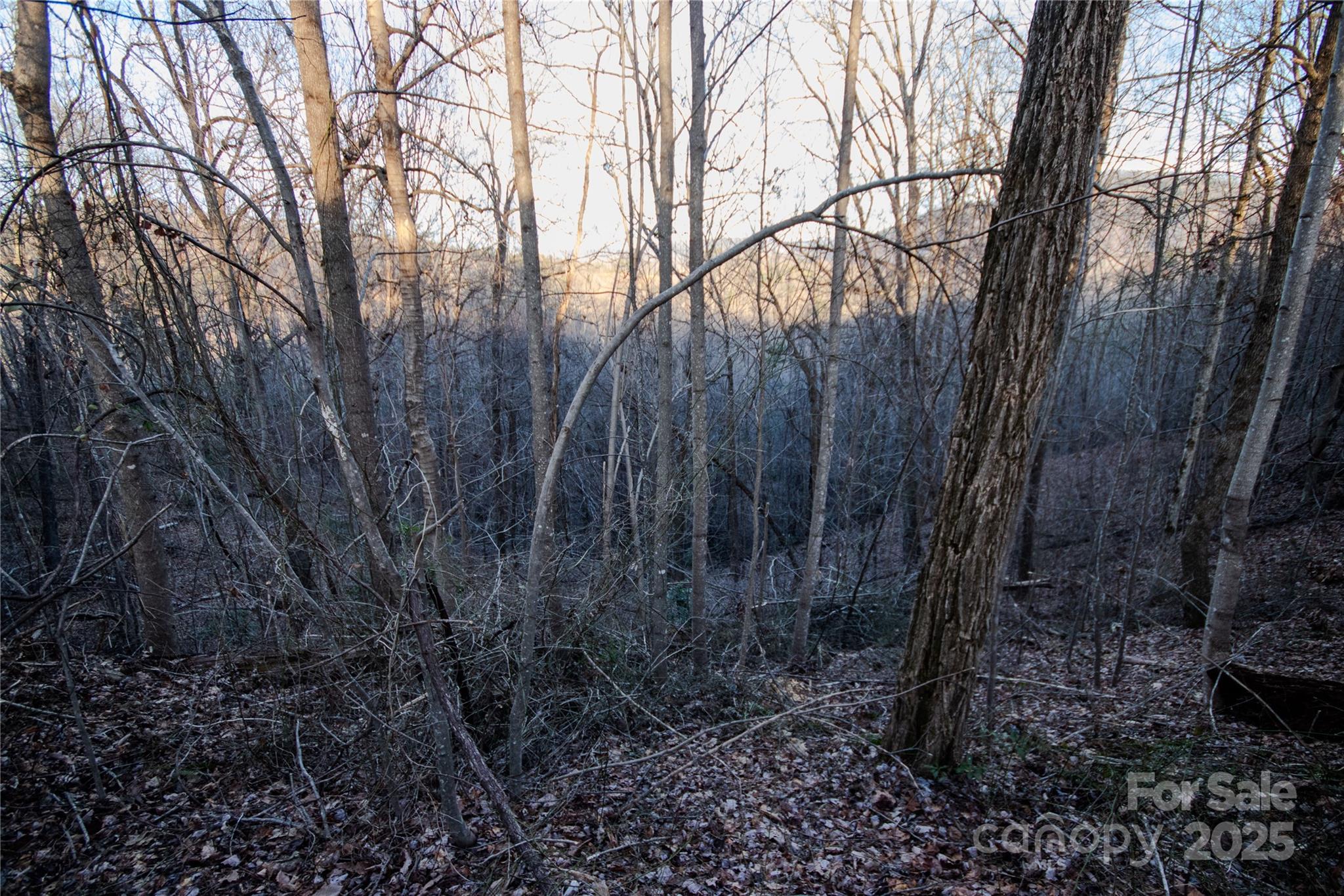 Lot#22 Autumn Ridge, Unit 22 Lenoir, NC 28645 - Photo 17 of 37