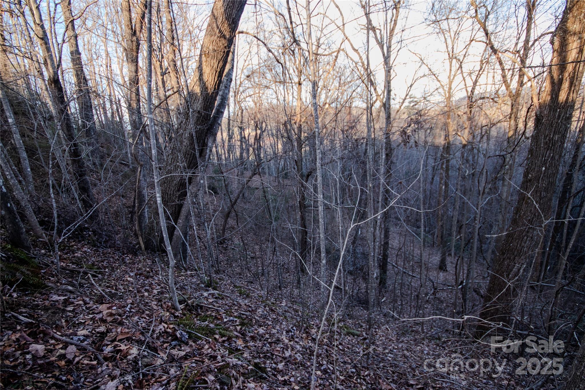 Lot#22 Autumn Ridge, Unit 22 Lenoir, NC 28645 - Photo 18 of 37