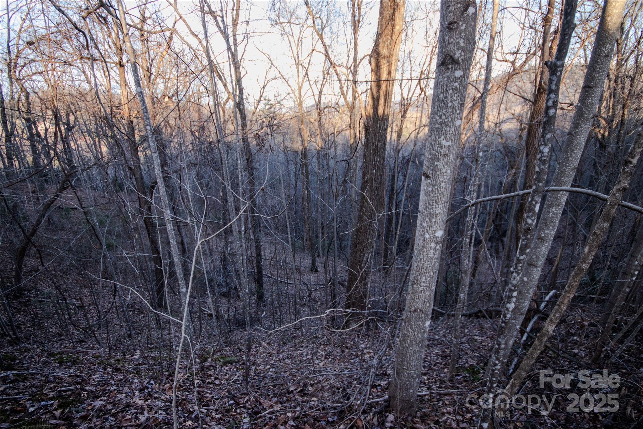 Lot#22 Autumn Ridge, Unit 22 Lenoir, NC 28645 - Photo 19 of 37