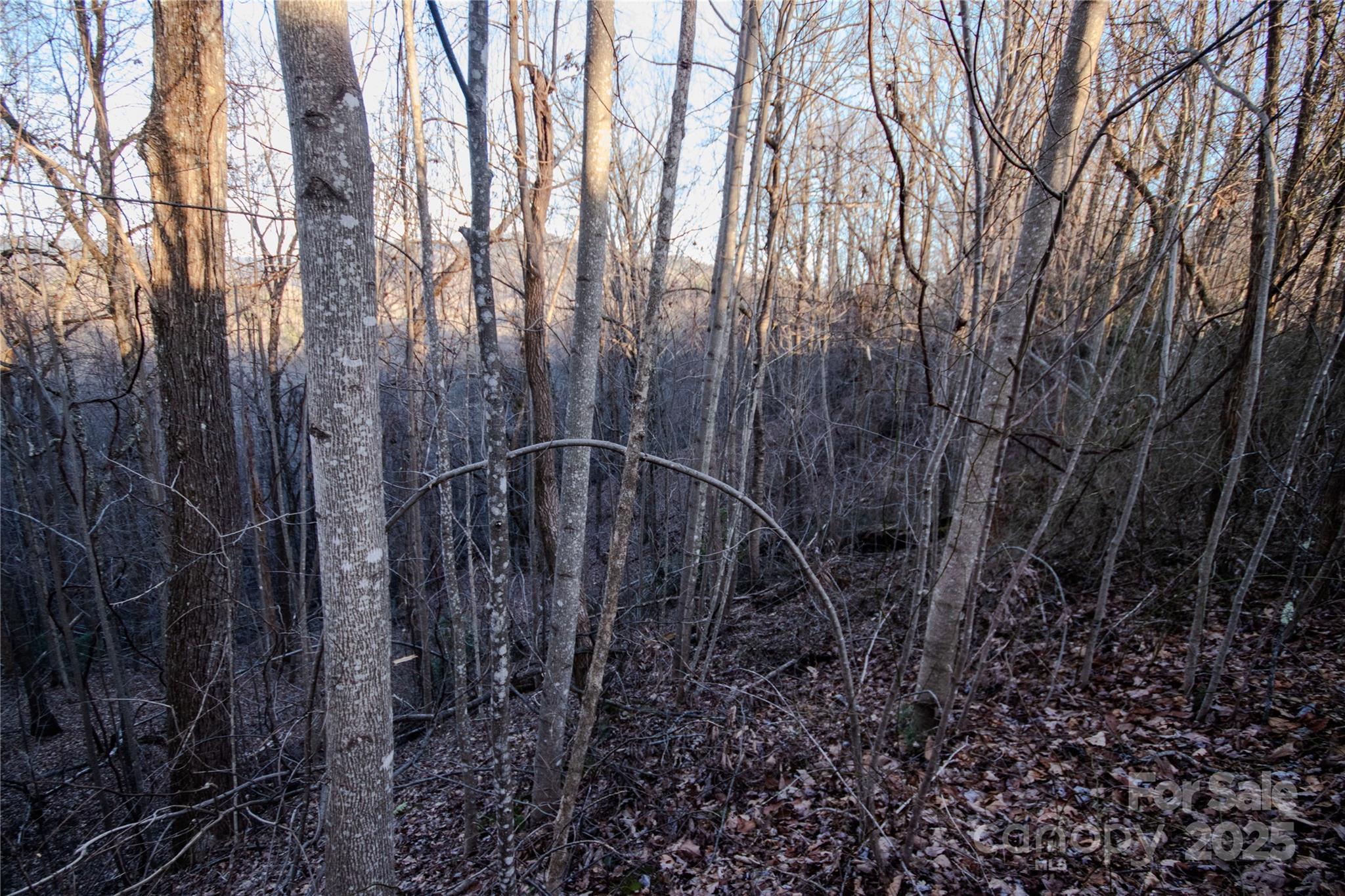 Lot#22 Autumn Ridge, Unit 22 Lenoir, NC 28645 - Photo 20 of 37