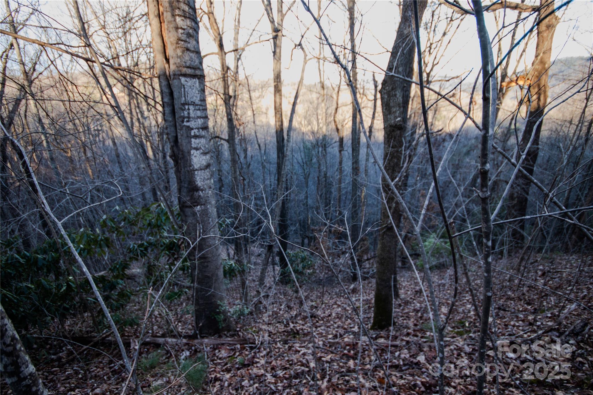 Lot#22 Autumn Ridge, Unit 22 Lenoir, NC 28645 - Photo 2 of 37
