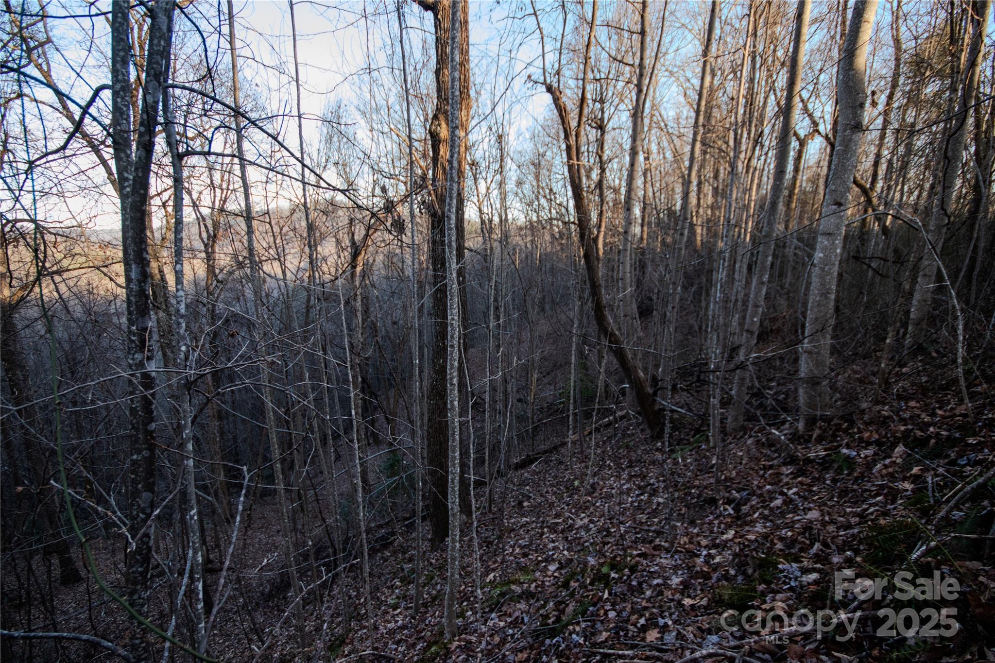 Lot#22 Autumn Ridge, Unit 22 Lenoir, NC 28645 - Photo 22 of 37