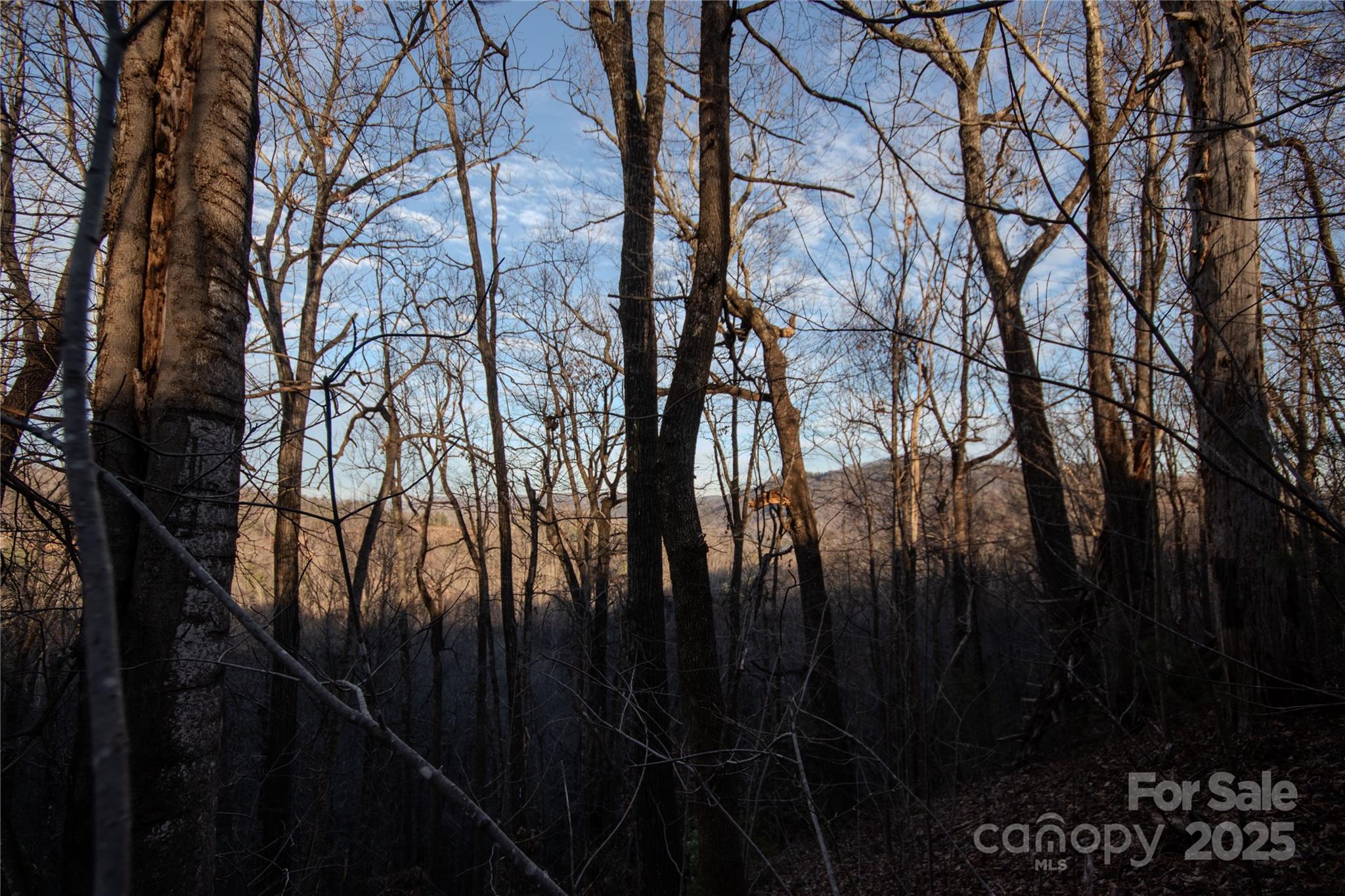 Lot#22 Autumn Ridge, Unit 22 Lenoir, NC 28645 - Photo 4 of 37