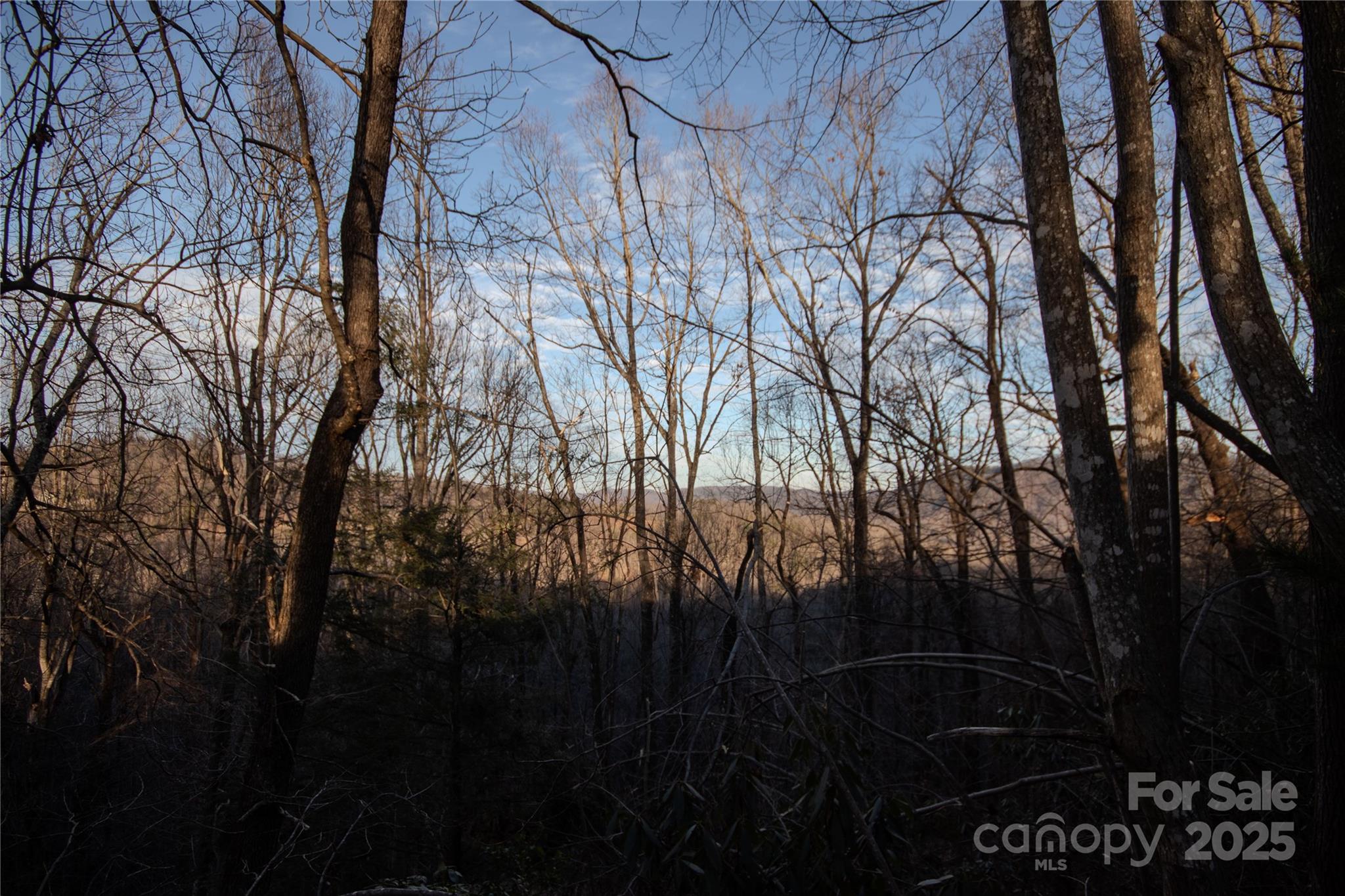 Lot#22 Autumn Ridge, Unit 22 Lenoir, NC 28645 - Photo 6 of 37