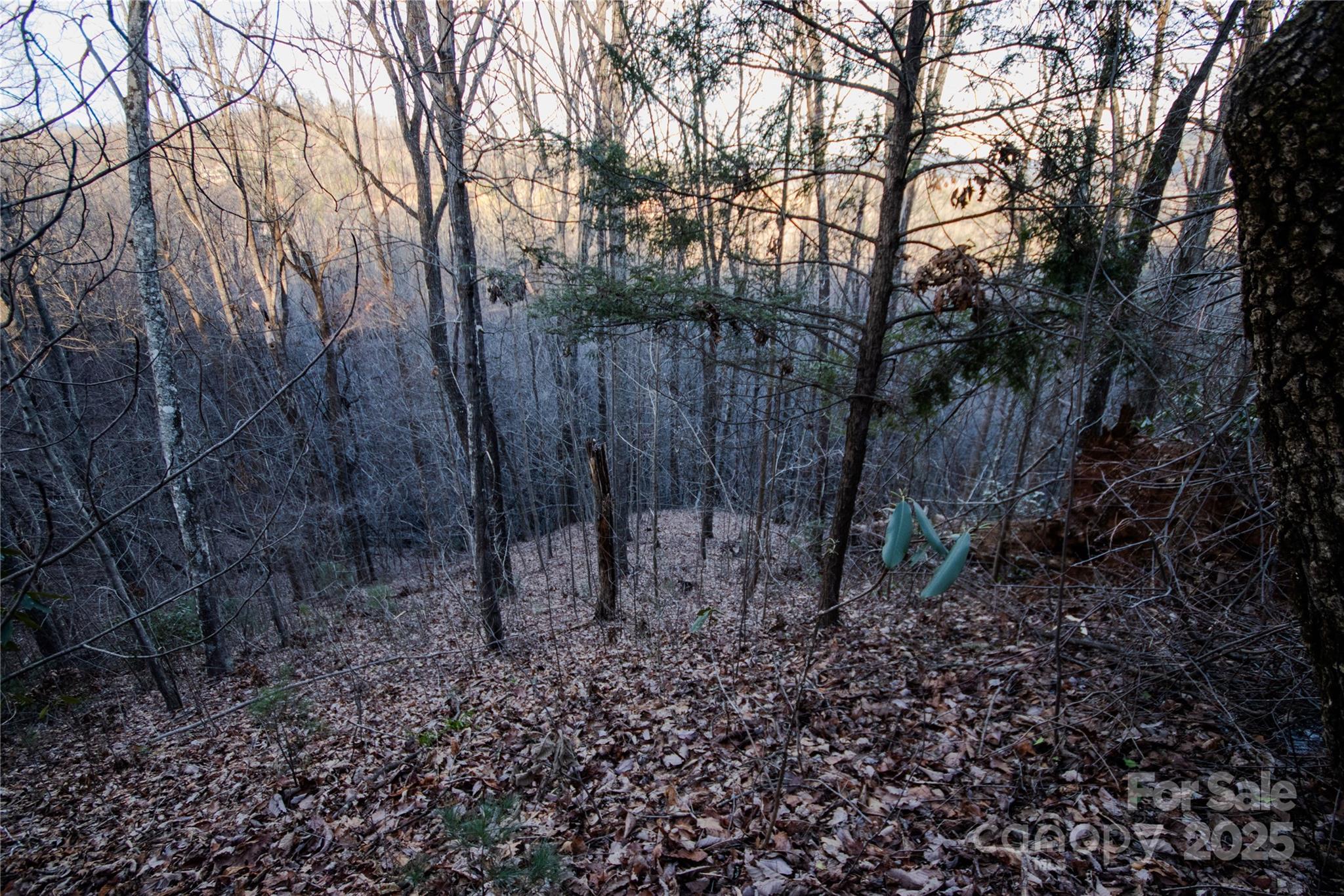 Lot#22 Autumn Ridge, Unit 22 Lenoir, NC 28645 - Photo 8 of 37