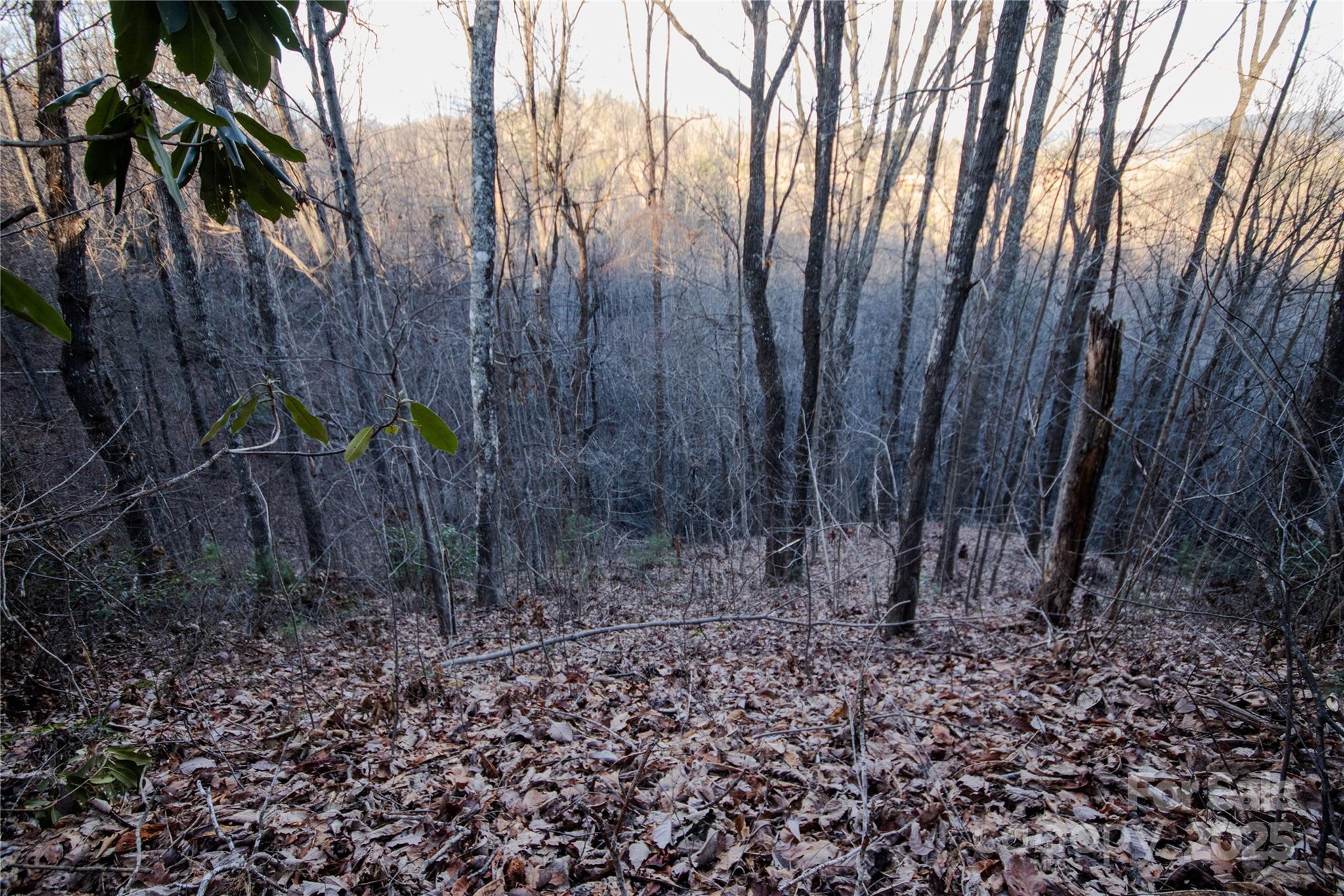 Lot#22 Autumn Ridge, Unit 22 Lenoir, NC 28645 - Photo 9 of 37