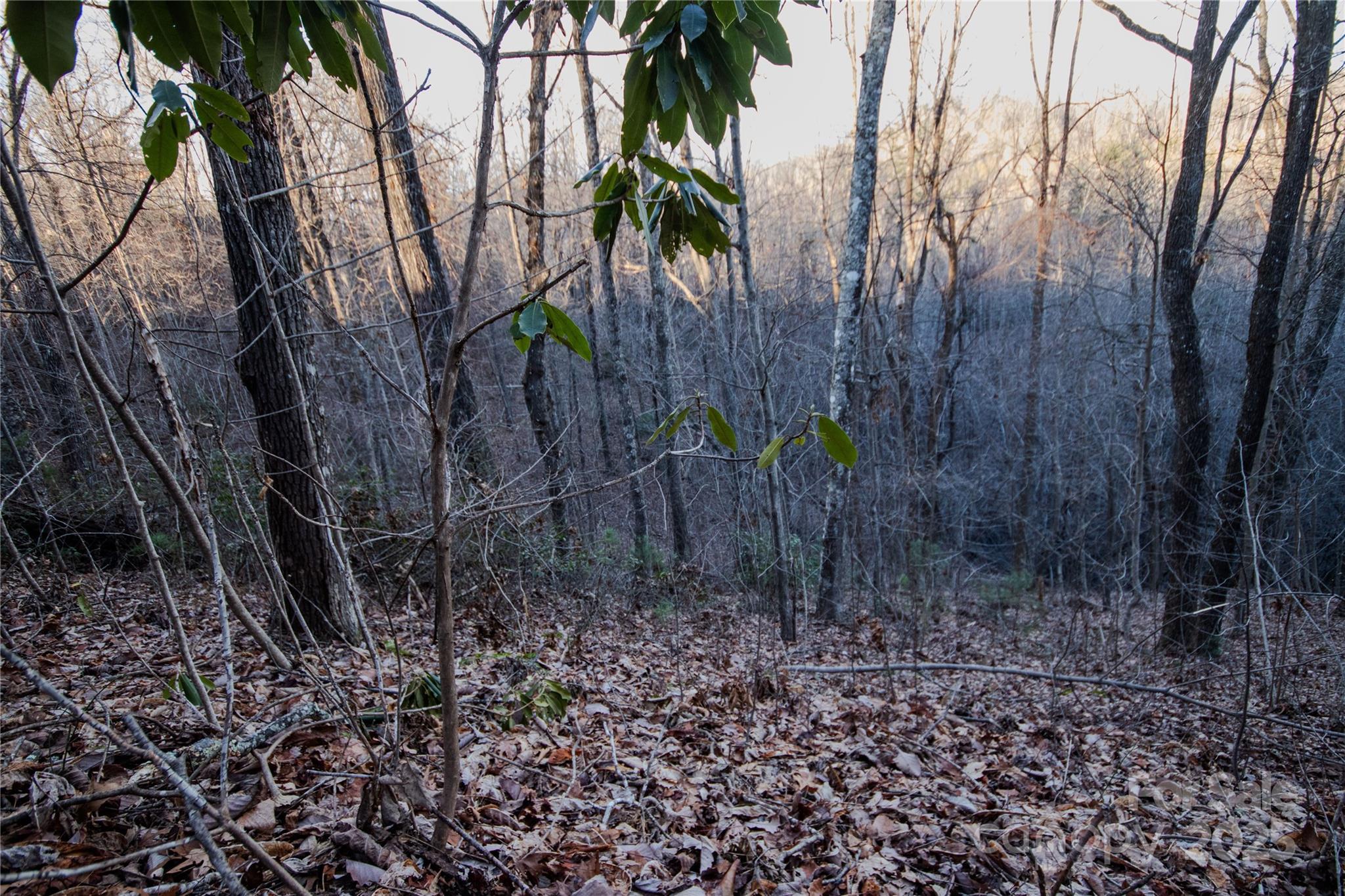 Lot#22 Autumn Ridge, Unit 22 Lenoir, NC 28645 - Photo 10 of 37