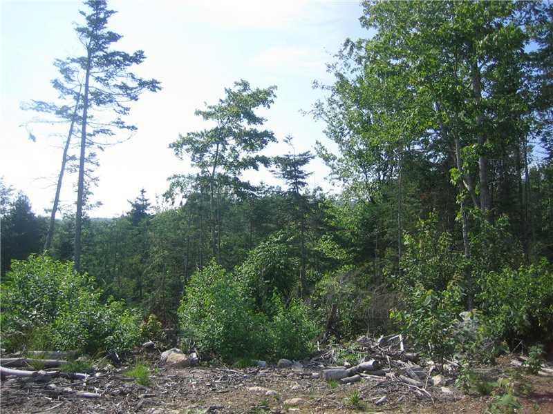 0 Oak Hill Road Orland, ME 04472 - Photo 10 of 11 Land/Lot.
