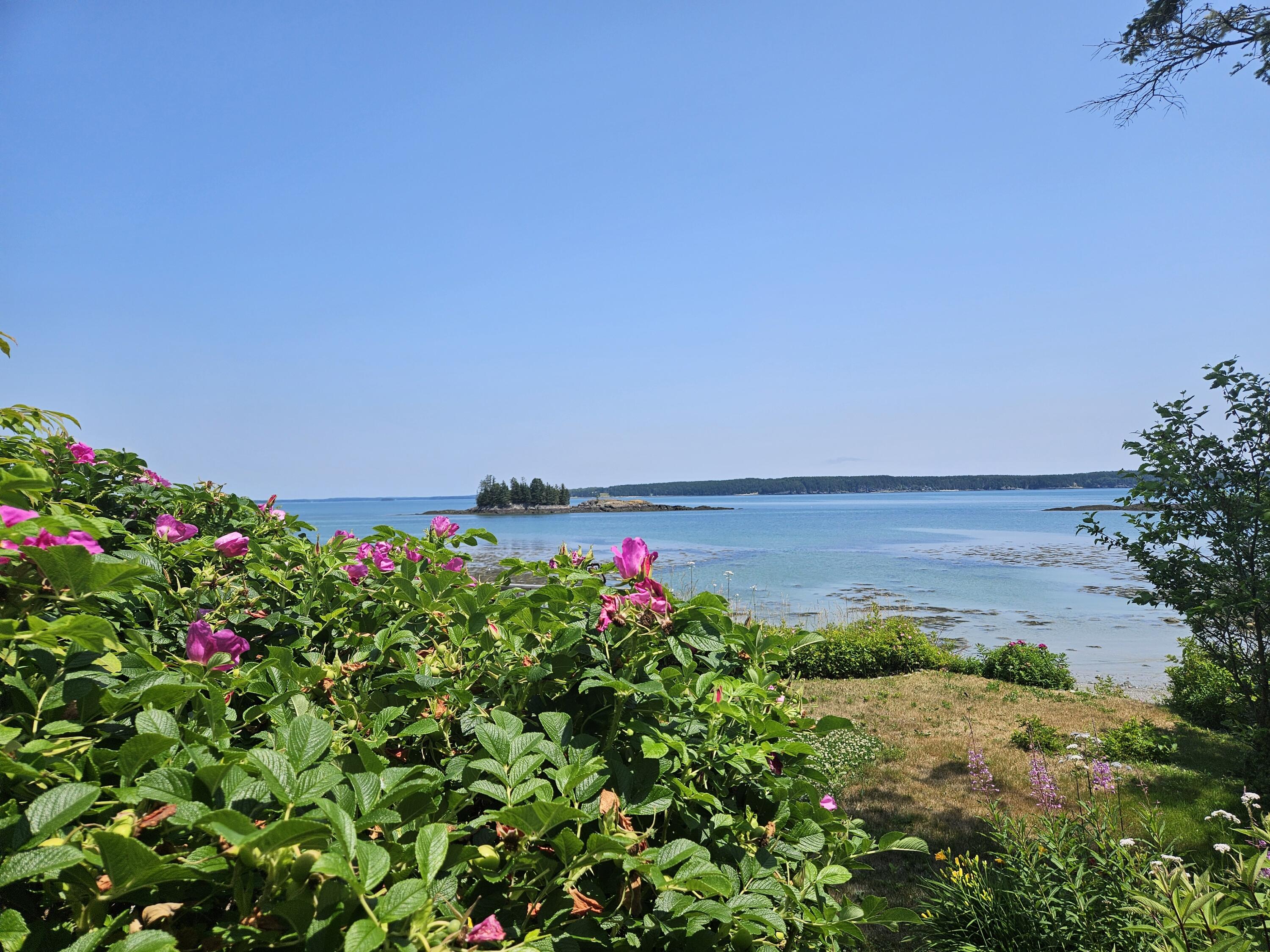 541 Mason Bay Road Jonesport, ME 04649 - Photo 88 of 92