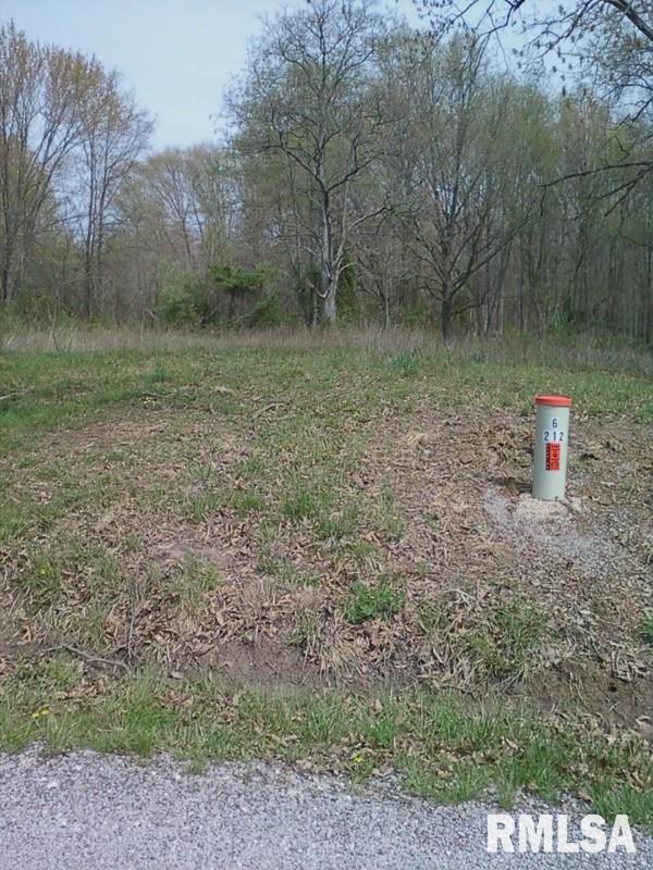 0 East Green Road Mount Vernon, IL 62864 - Photo 2 of 2 Gallery Image 2