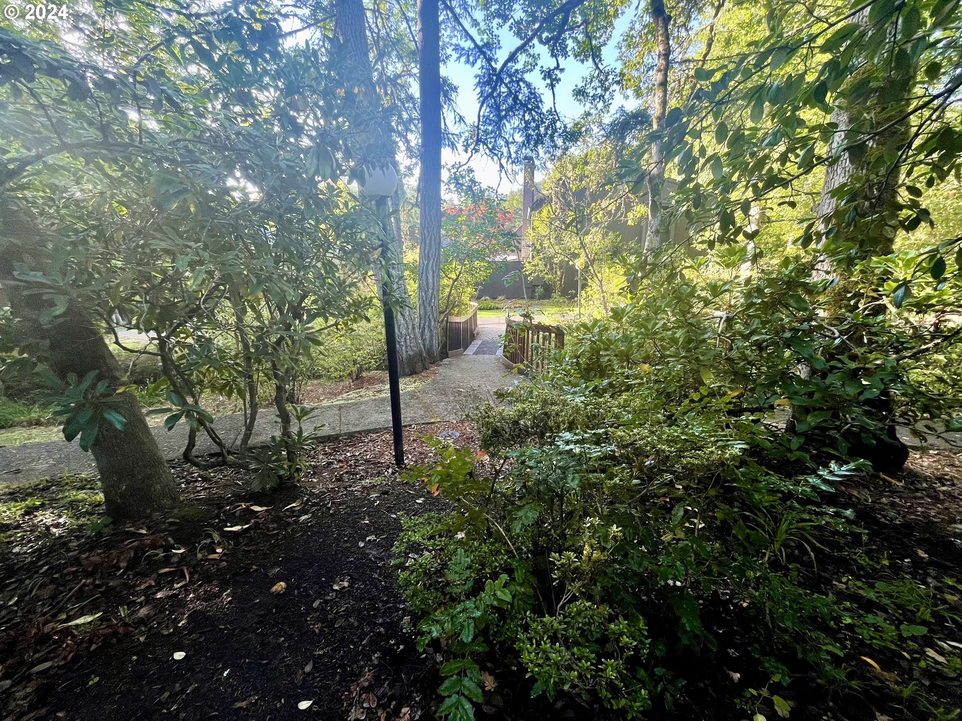 132 Brae Burn Drive Eugene, OR 97405 - Photo 38 of 42 a view of a tree in a garden