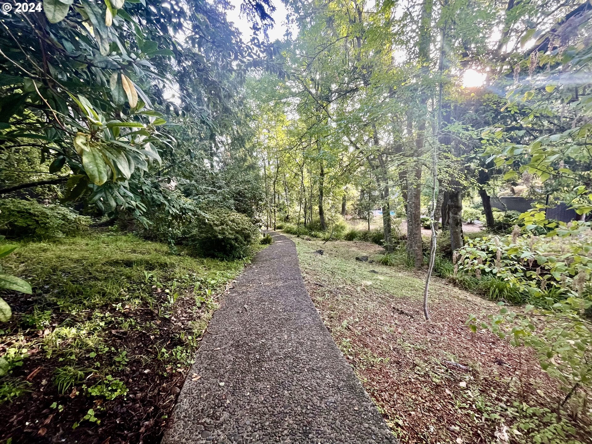 132 Brae Burn Drive Eugene, OR 97405 - Photo 40 of 42 a view of a yard with plants and large trees