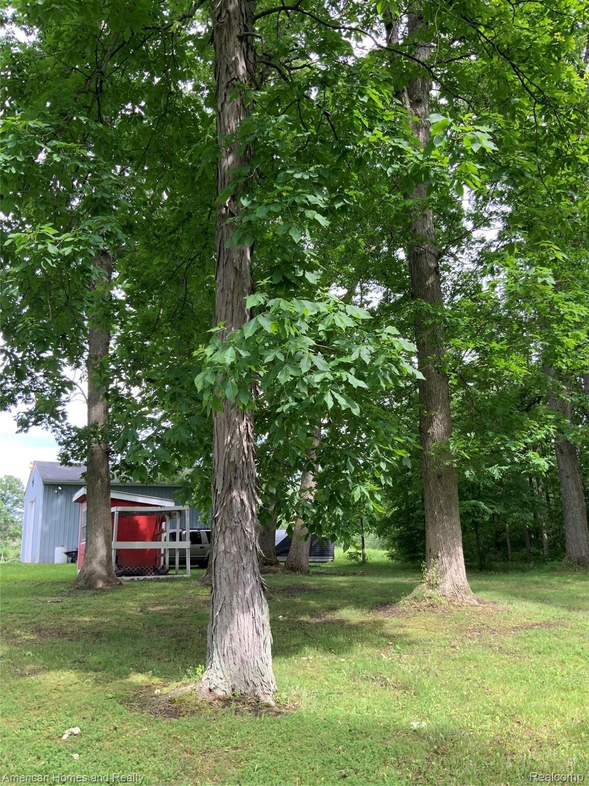4321 Skelton Road Columbiaville, MI 48421 - Photo 65 of 86 A4F7A401-A851-45B5-A43B-C2D485EAAFF6.jpeg