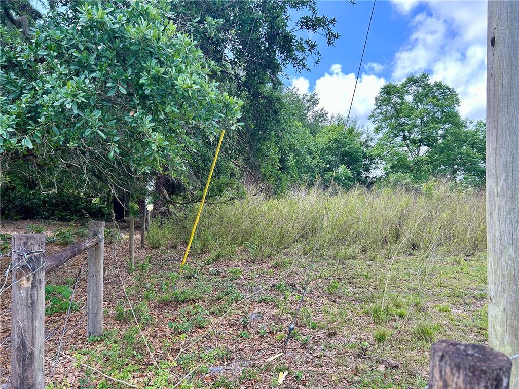 Sr-64 Wauchula, FL 33873 - Photo 11 of 14 a view of a garden