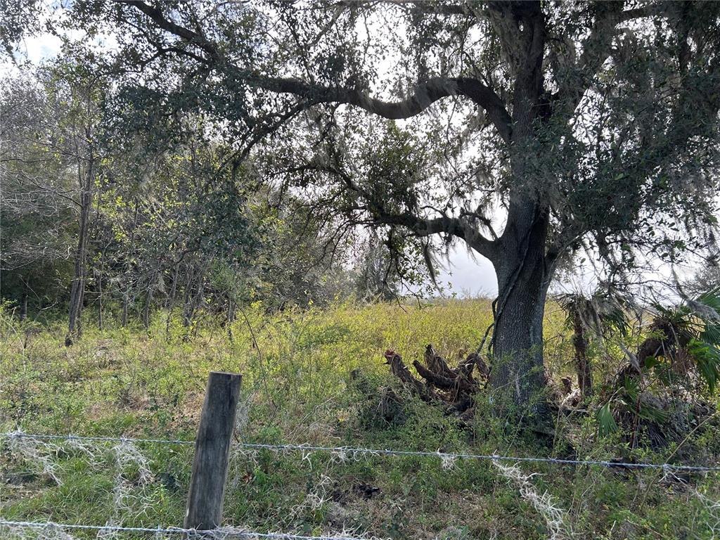Sr-64 Wauchula, FL 33873 - Photo 5 of 14 a view of a garden with wooden fence