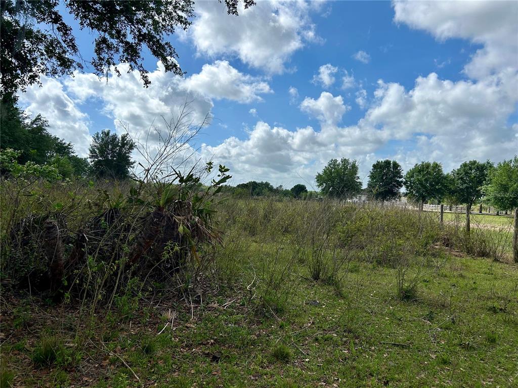 Sr-64 Wauchula, FL 33873 - Photo 8 of 14 a view of a lake with green space