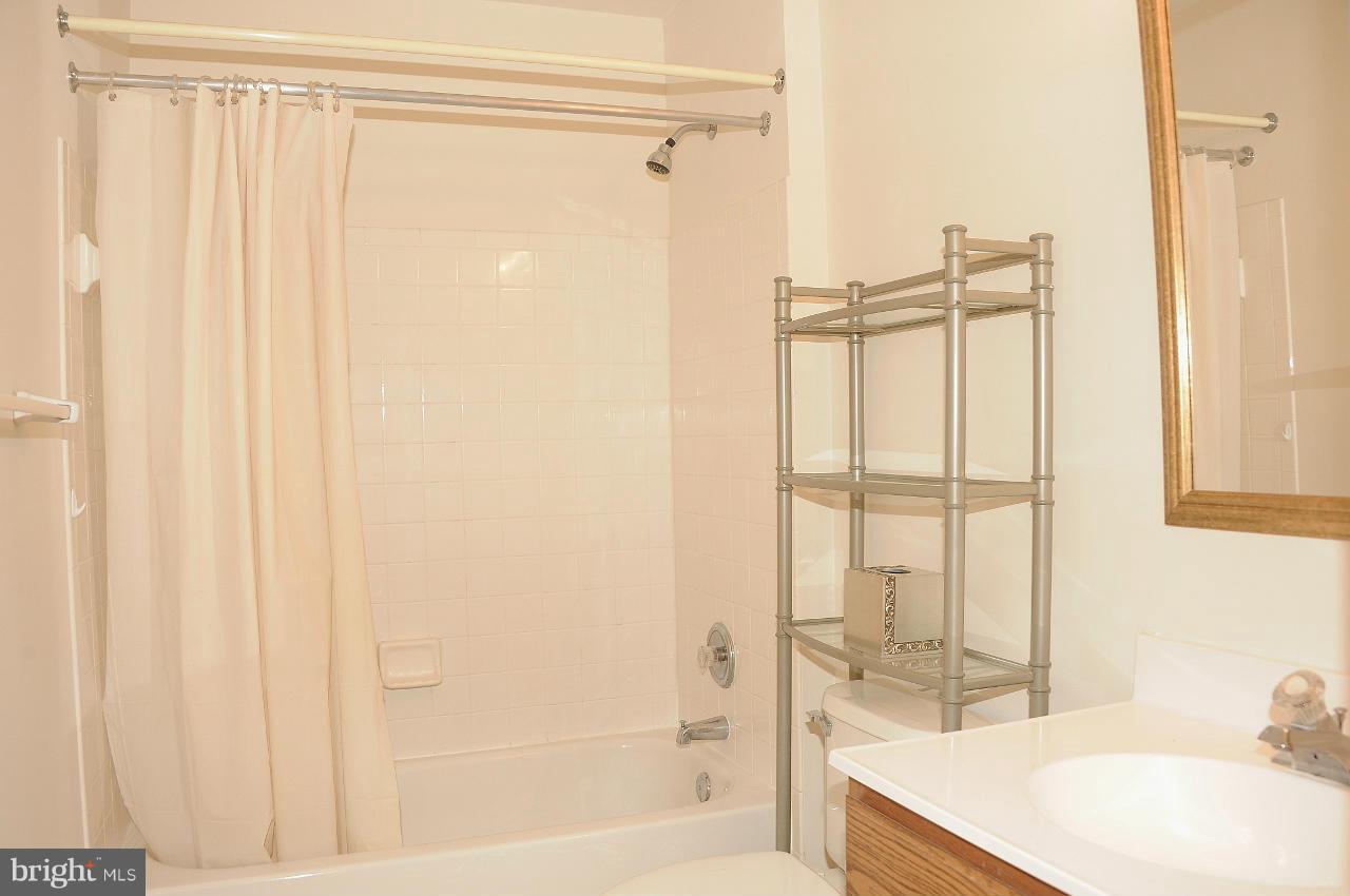 6252 Levi Court Springfield, VA 22150 - Photo 22 of 28 Lower Level Bath