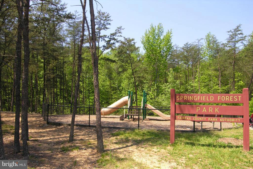 6252 Levi Court Springfield, VA 22150 - Photo 26 of 28 Playground