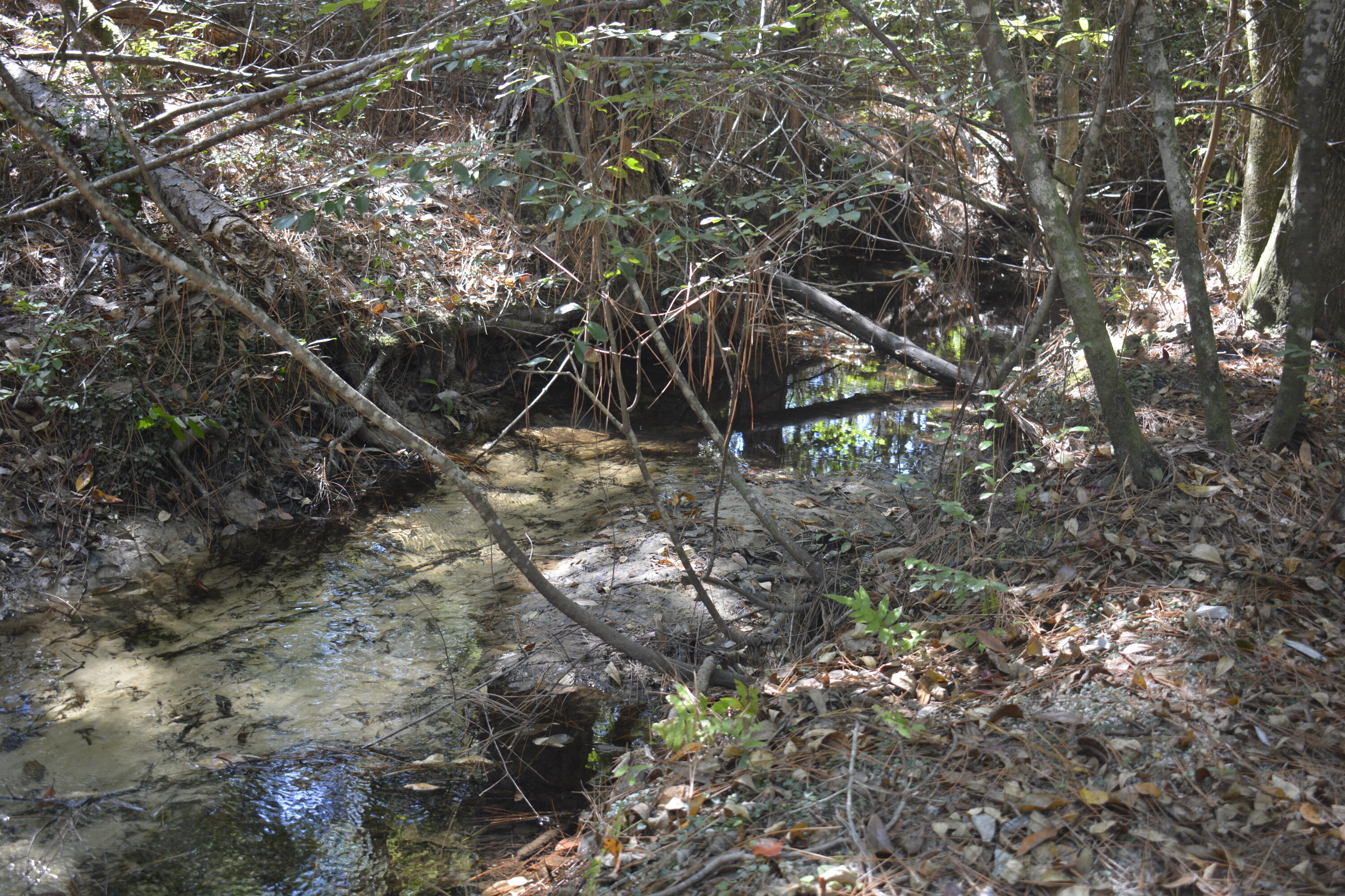 32-acres Aplin Road Crestview, FL 32539 - Photo 16 of 20 Tranquil, clear stream