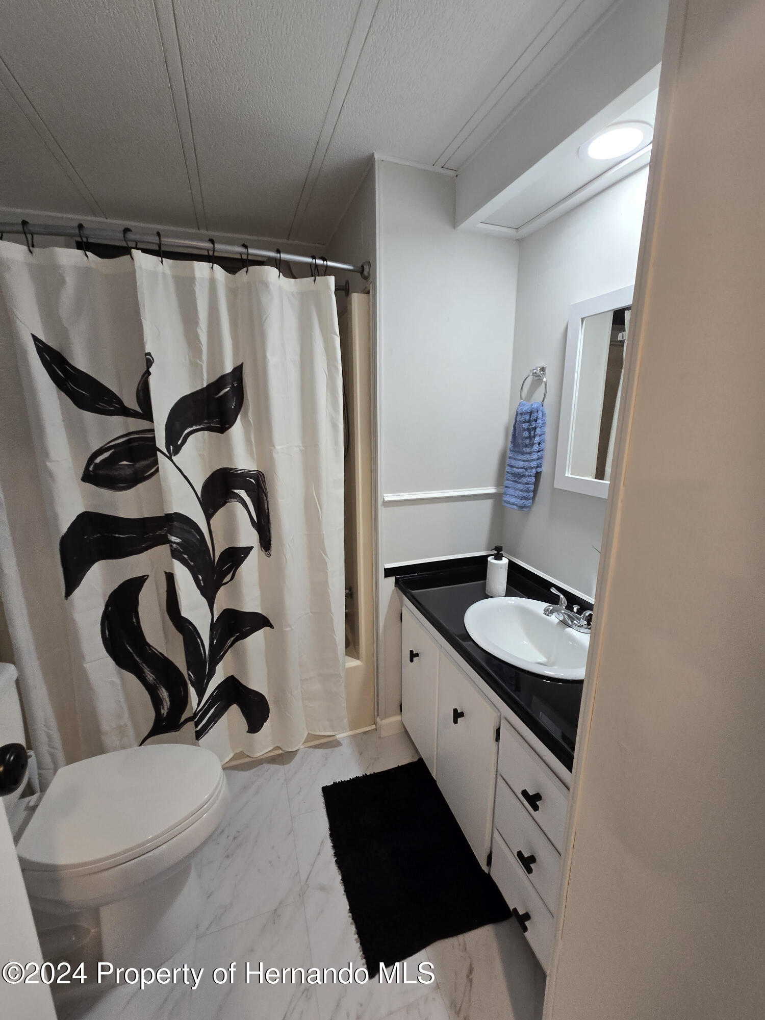 15260 Brookridge Boulevard Brooksville, FL 34613 - Photo 27 of 56 a bathroom with a sink a toilet and a mirror