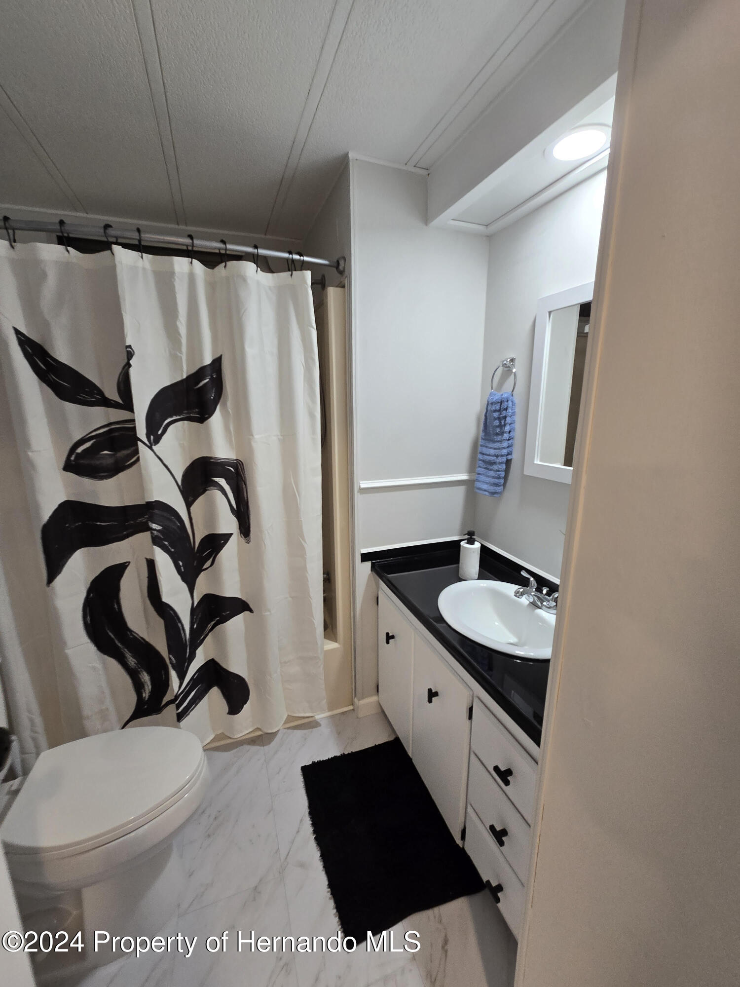 15260 Brookridge Boulevard Brooksville, FL 34613 - Photo 28 of 56 a bathroom with a sink a toilet and a mirror