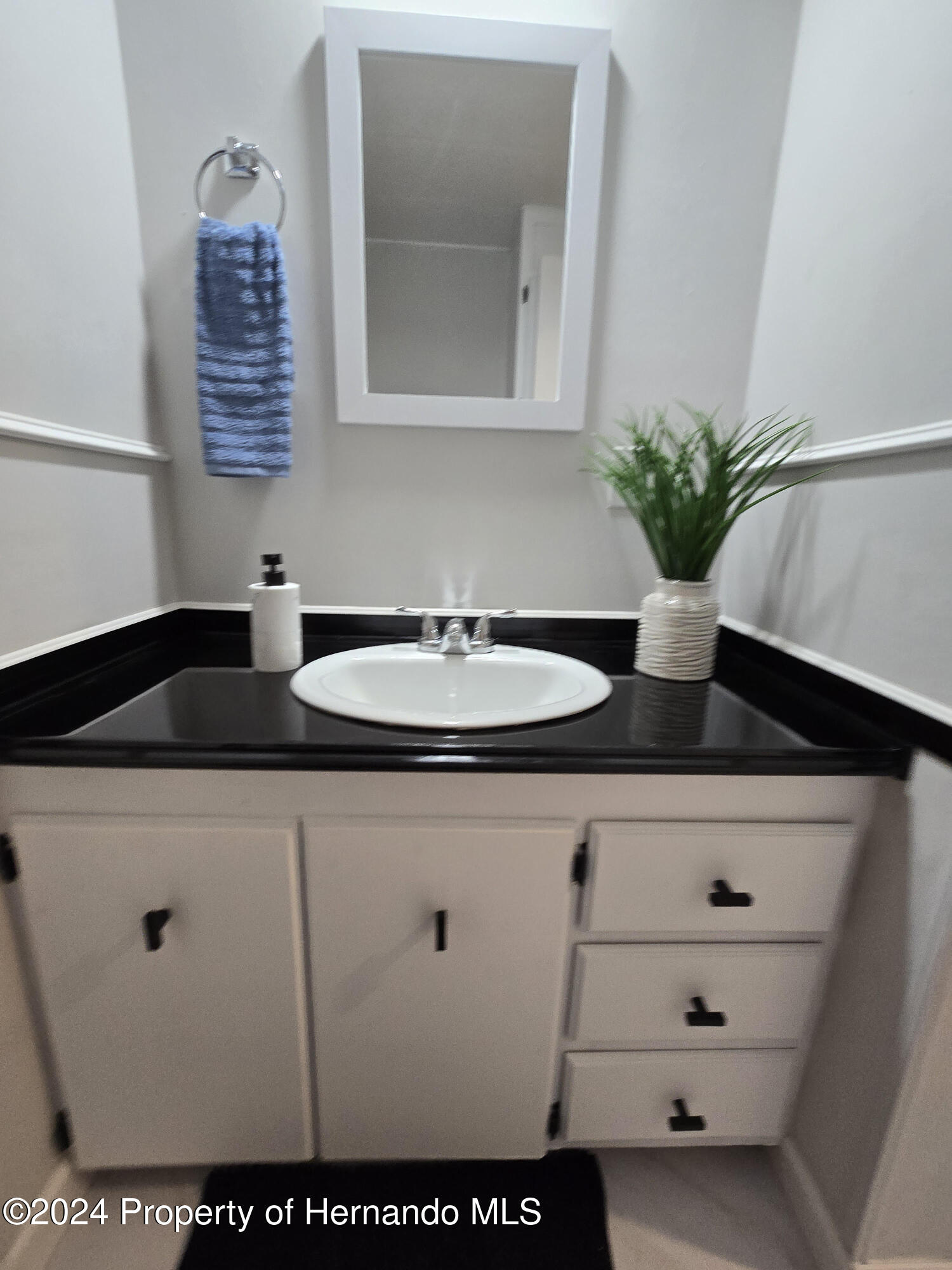 15260 Brookridge Boulevard Brooksville, FL 34613 - Photo 29 of 56 Hall Bath 3