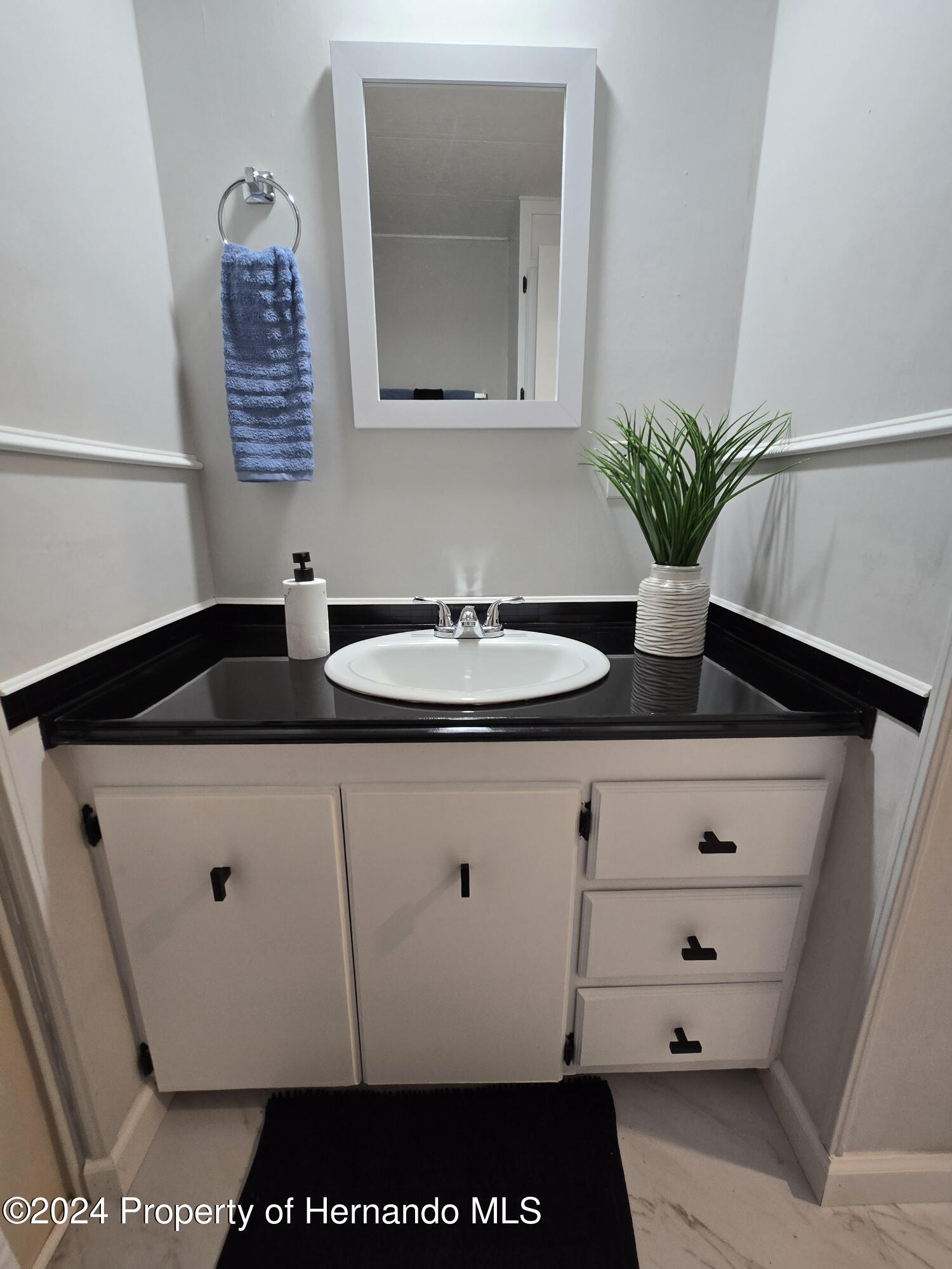 15260 Brookridge Boulevard Brooksville, FL 34613 - Photo 30 of 56 a bathroom with a sink and a mirror