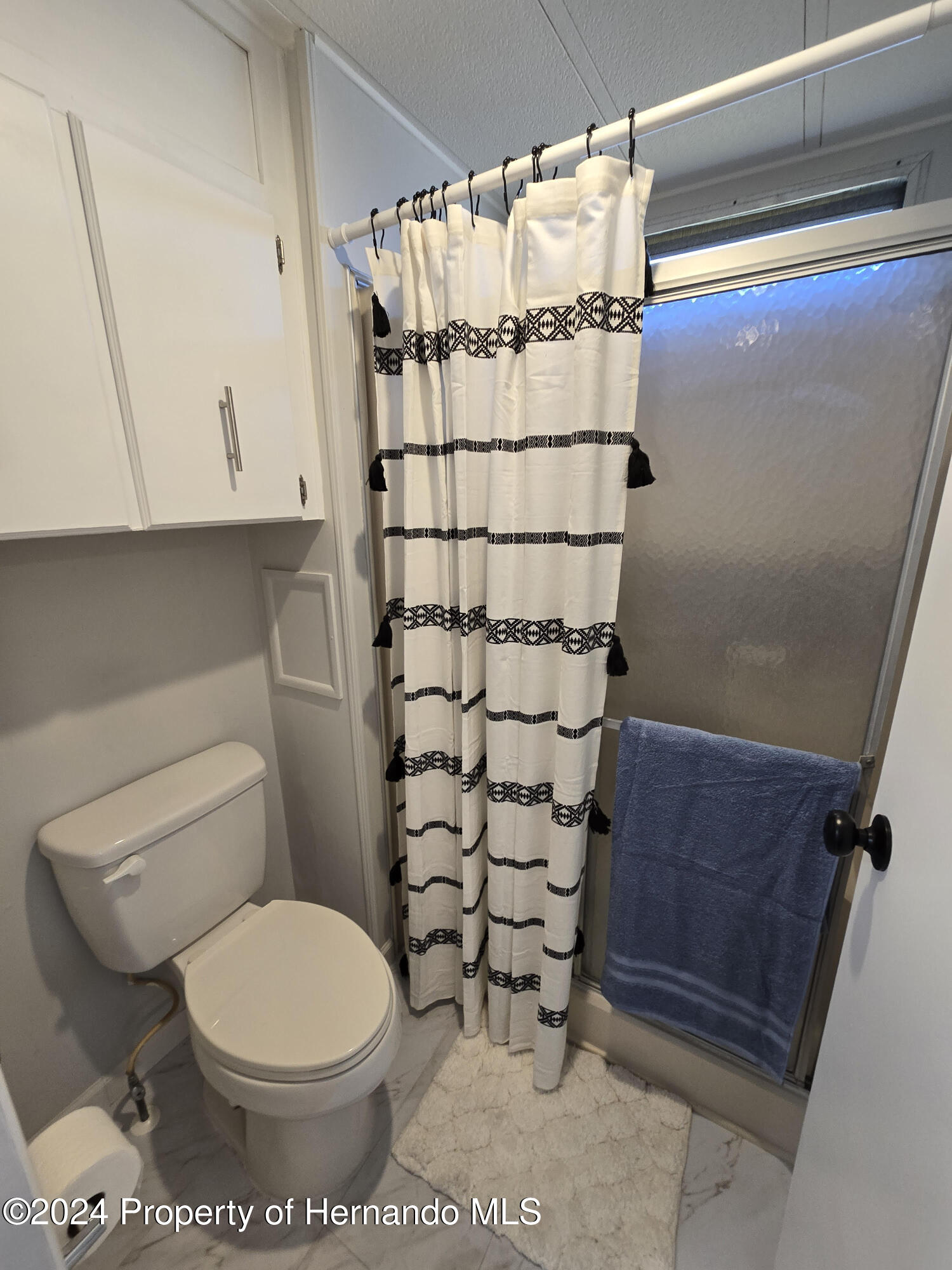 15260 Brookridge Boulevard Brooksville, FL 34613 - Photo 41 of 56 a bathroom with a toilet and shower