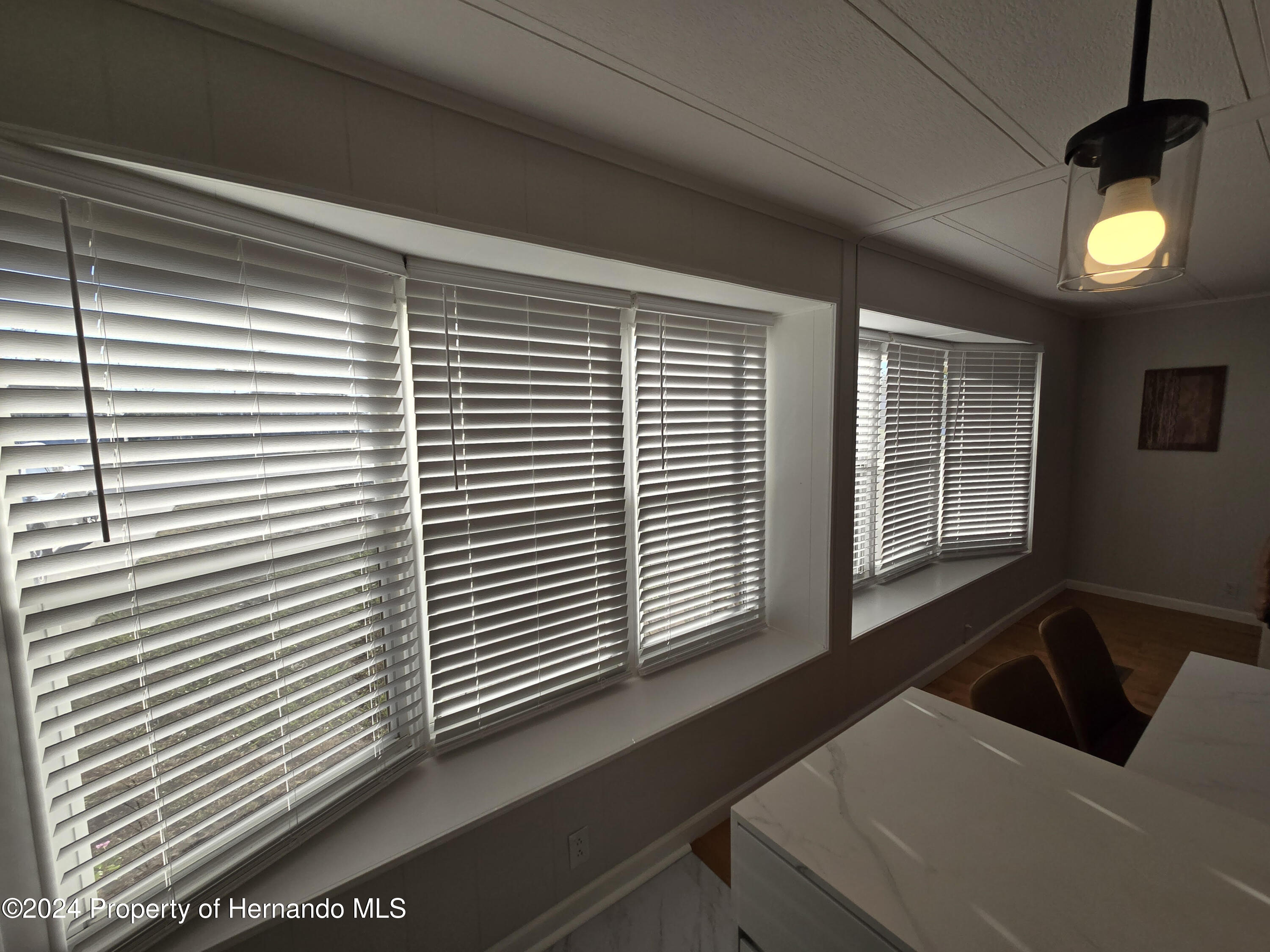 15260 Brookridge Boulevard Brooksville, FL 34613 - Photo 44 of 56 a view of a livingroom with furniture and a window