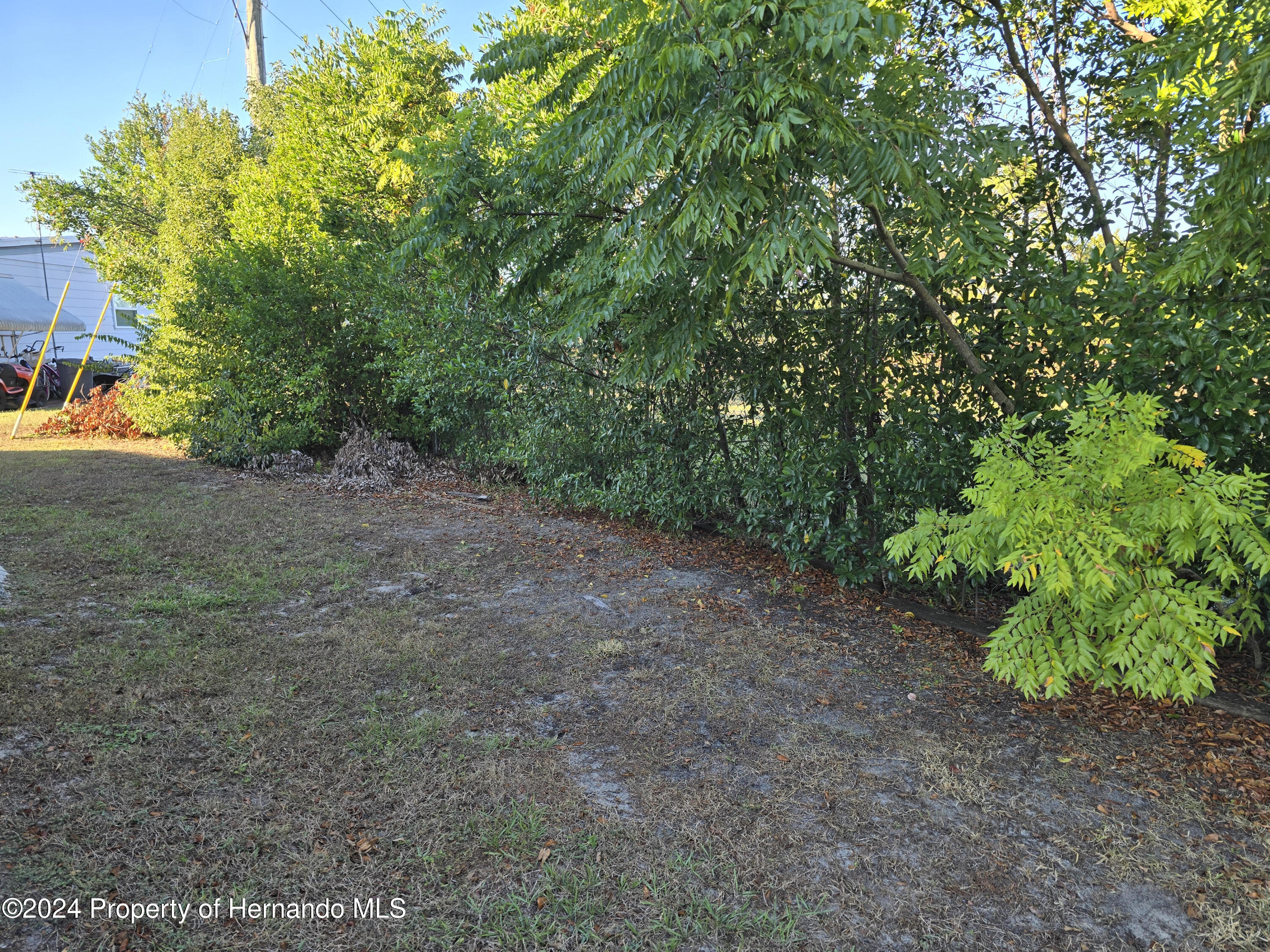 15260 Brookridge Boulevard Brooksville, FL 34613 - Photo 52 of 56 a view of a yard with a tree